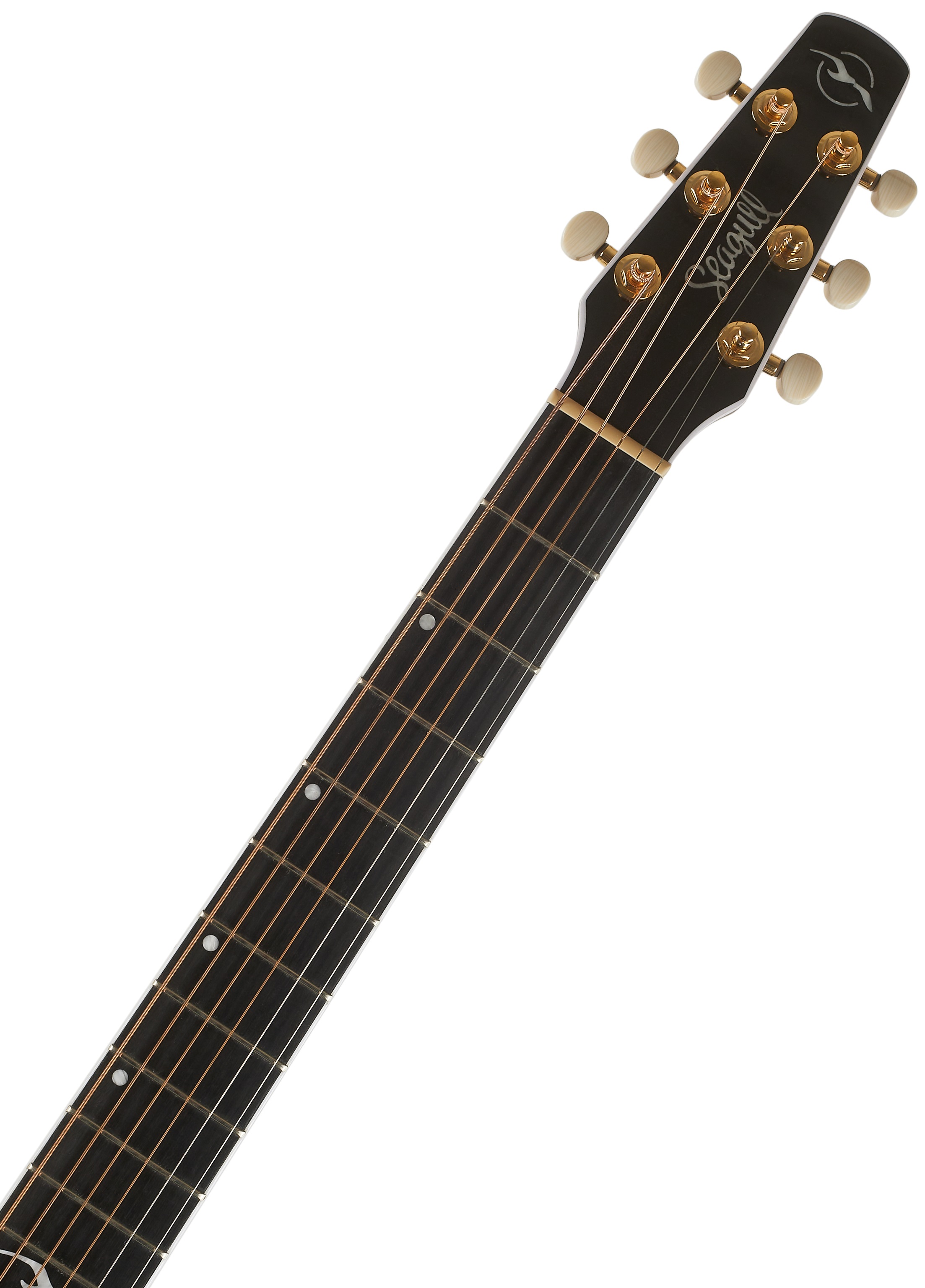 Seagull Artist Mosaic EQ (obrázek 5)