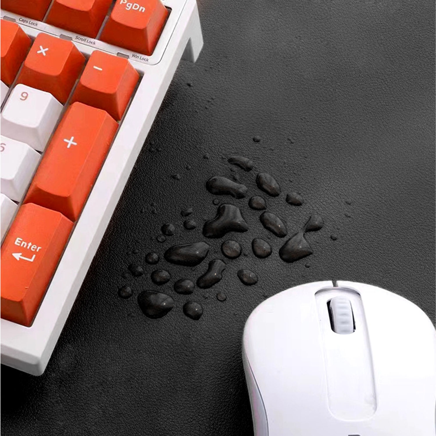 Mozos LDP1260 (obrázek 5)