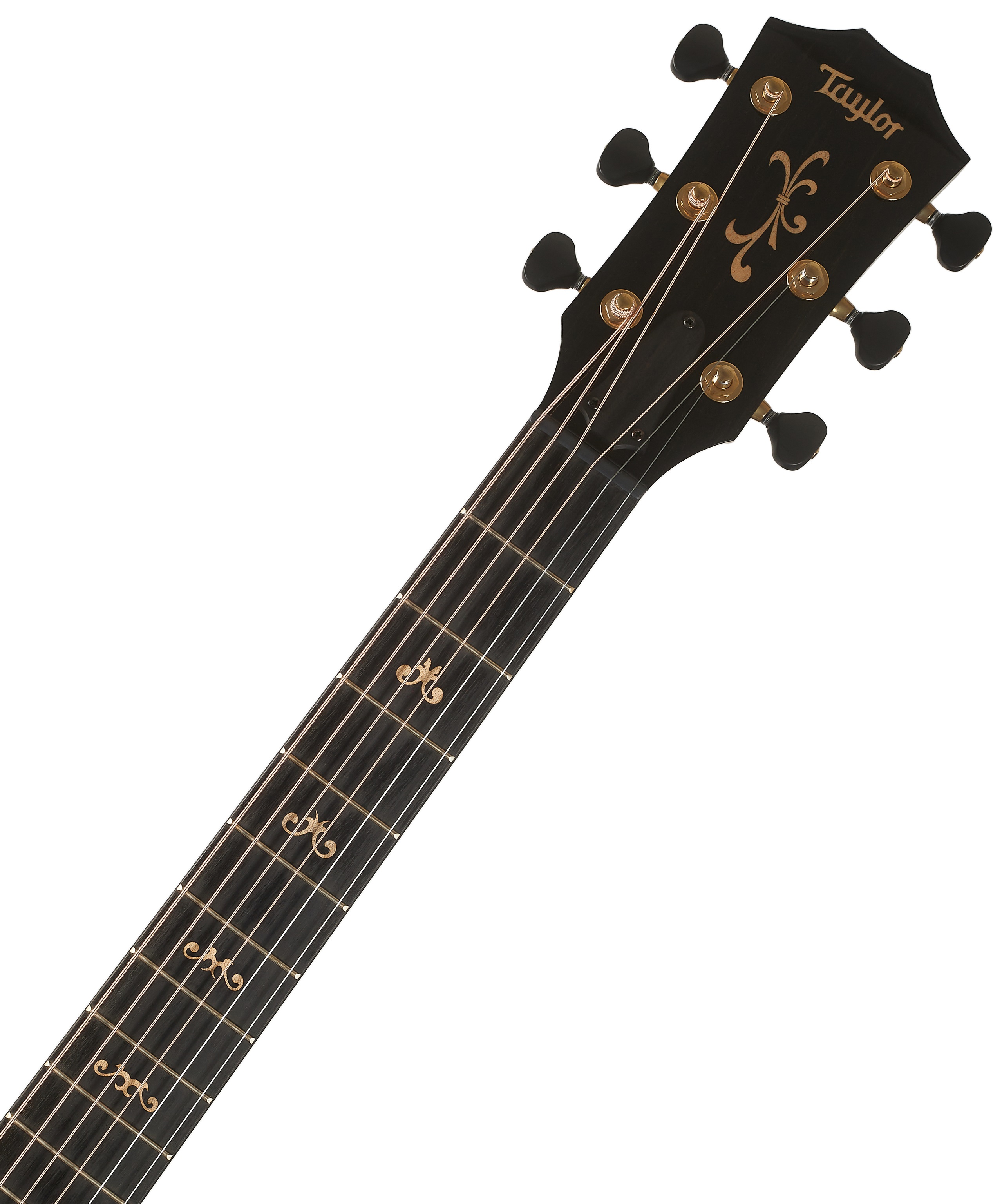 Taylor Custom GO C18e B3001 VS (obrázek 5)