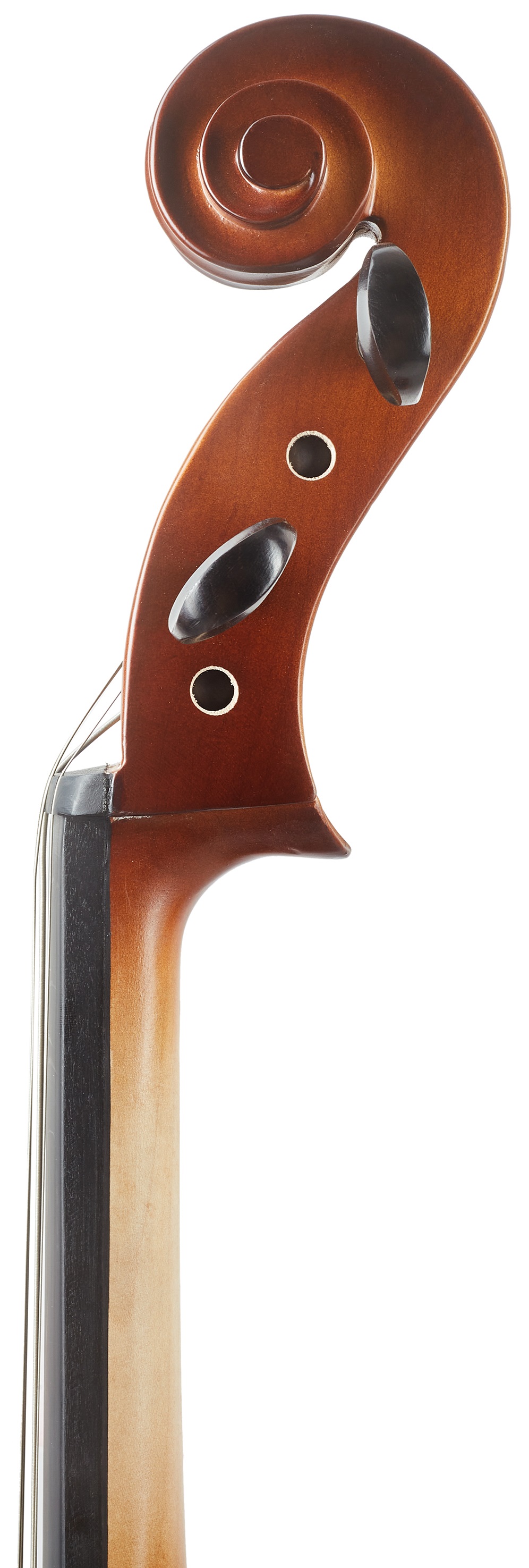 Bacio Instruments Basic Cello (GC102F) 1/2 (obrázek 8)
