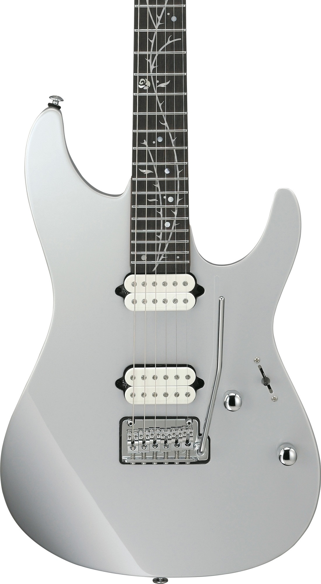 Ibanez TOD10 Silver (obrázek 5)