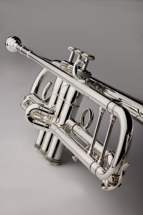 S.E.Shires TRQ10S (obrázek 4)