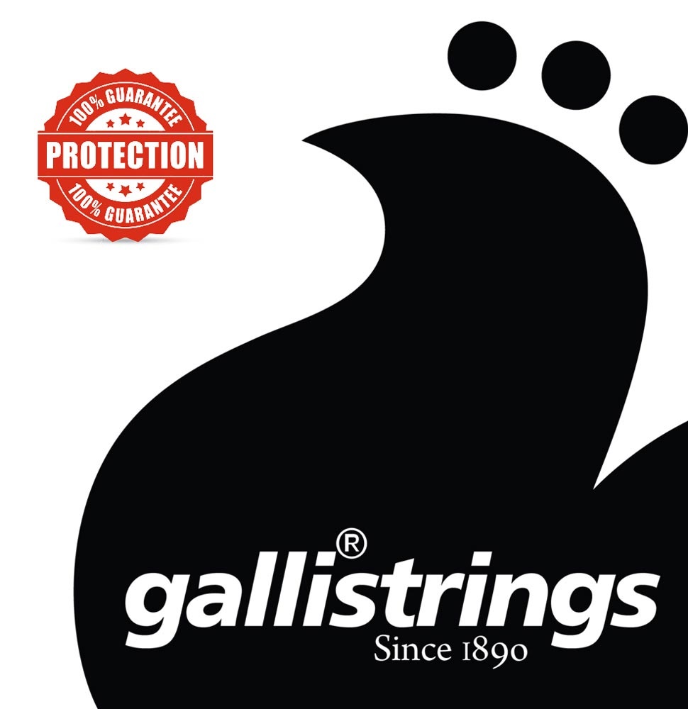 Galli RS1059 Nickel 7-String Regular Light (obrázek 2)