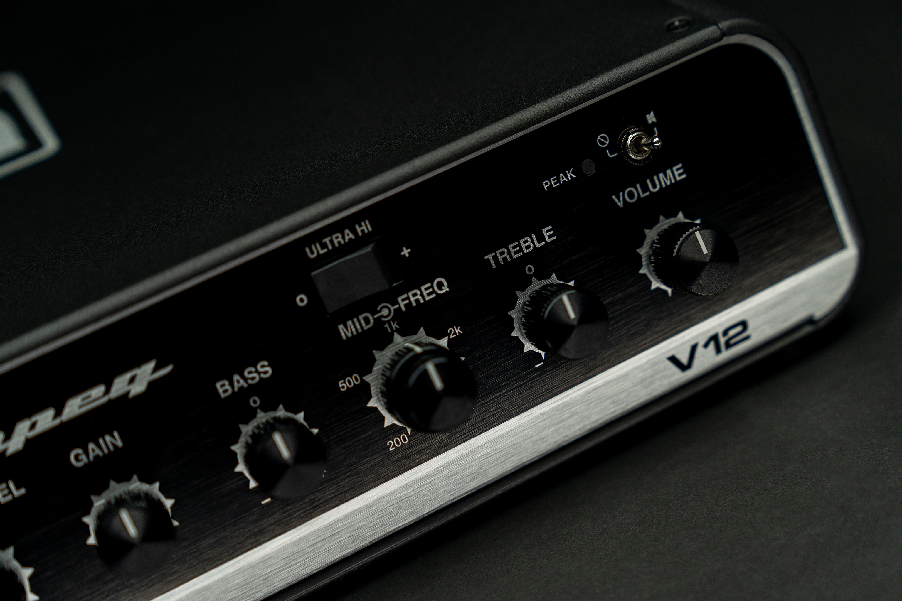Ampeg Venture V12 (obrázek 5)