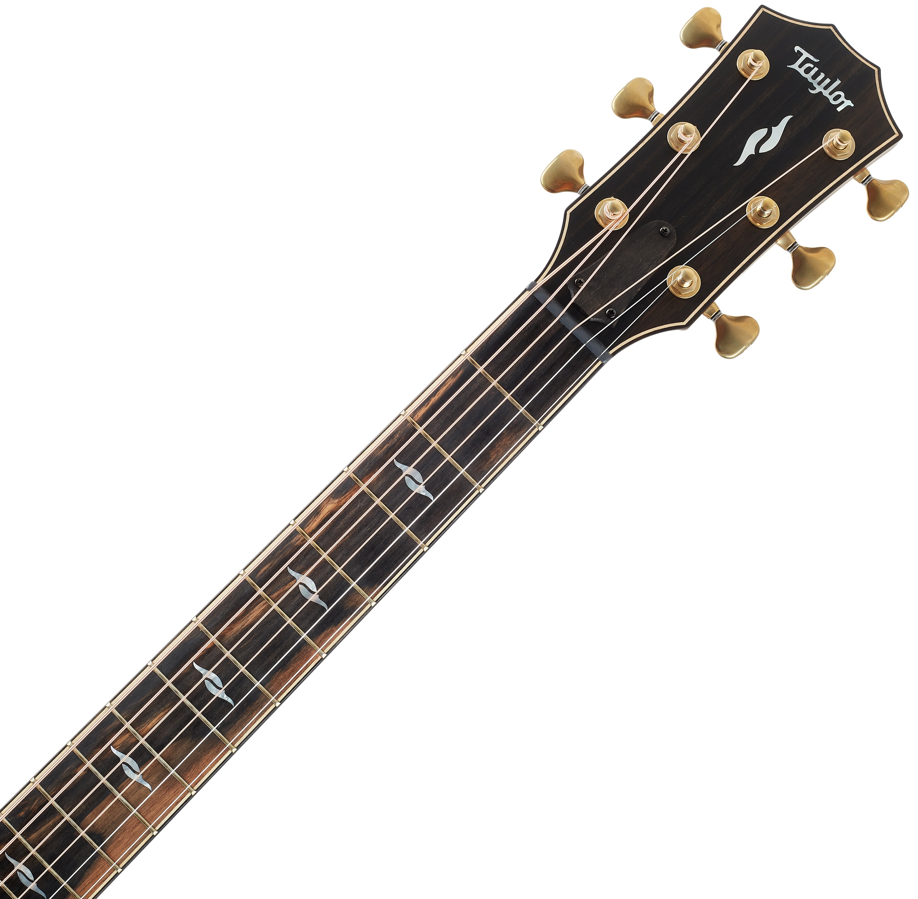 Taylor Builders Edition 814ce Blacktop (obrázek 4)