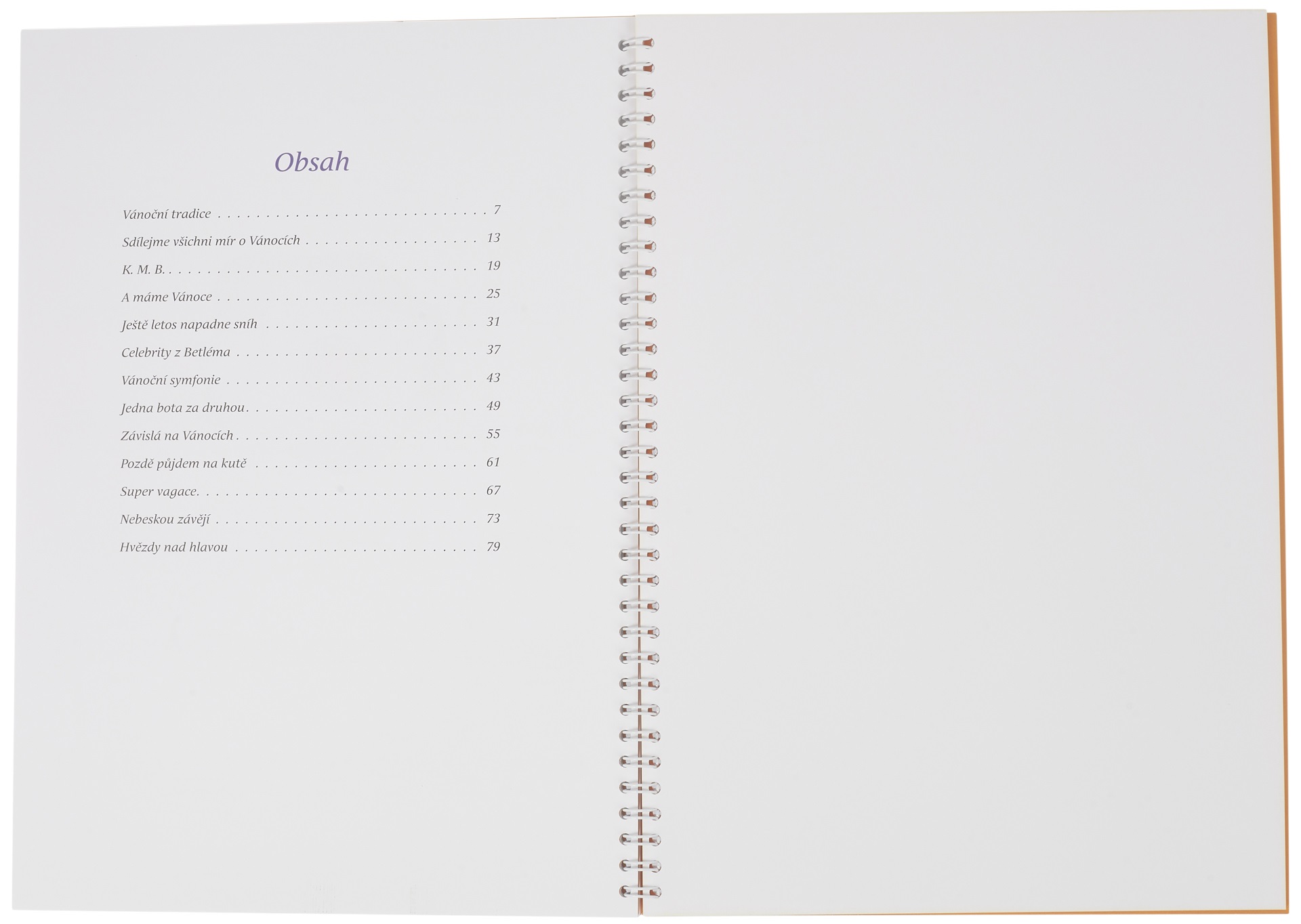 KN Vánoční tradice - Ally (obrázek 3)