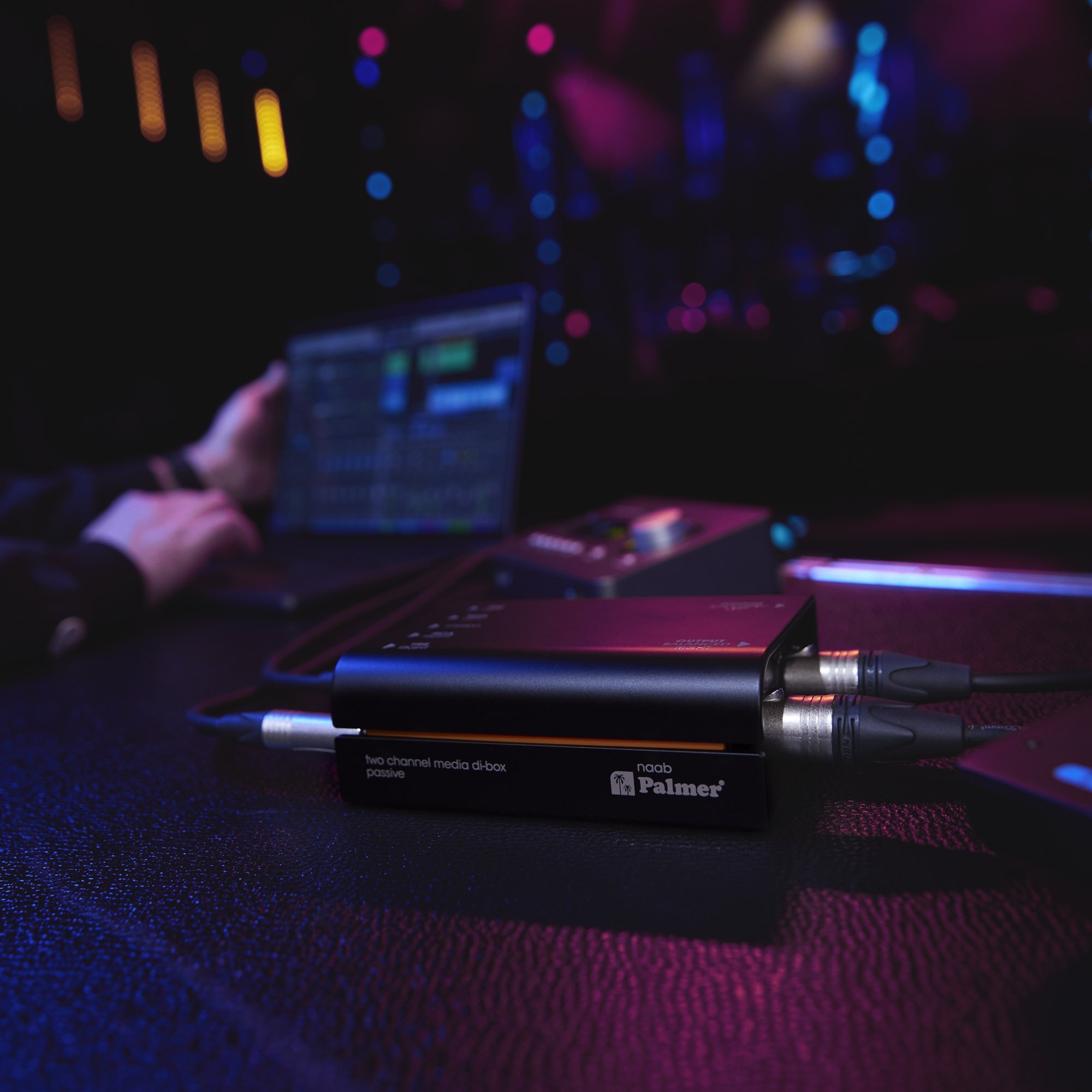 Palmer RIVER naab (obrázek 10)