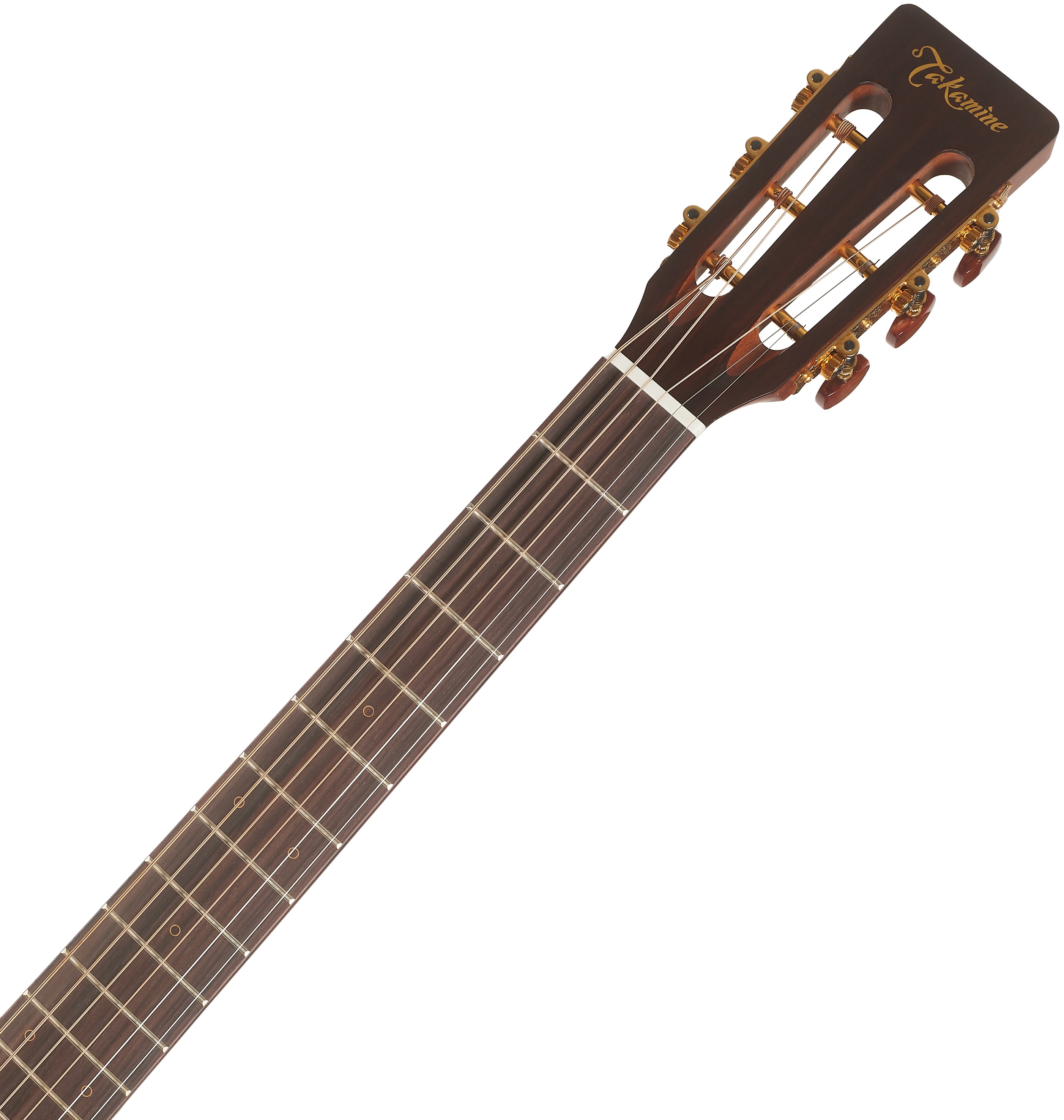 Takamine P3NY (obrázek 5)