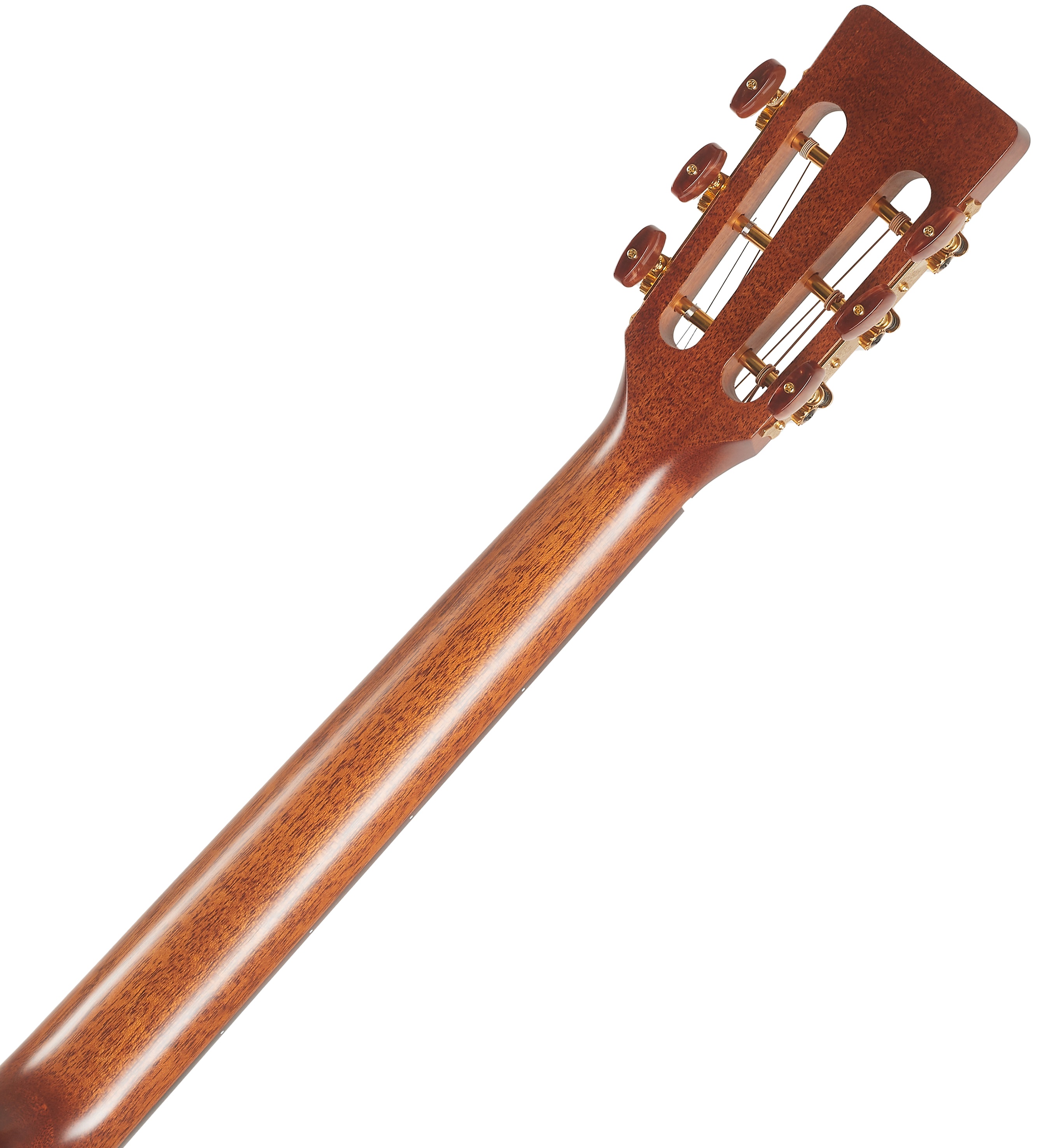 Takamine P3NY (obrázek 6)