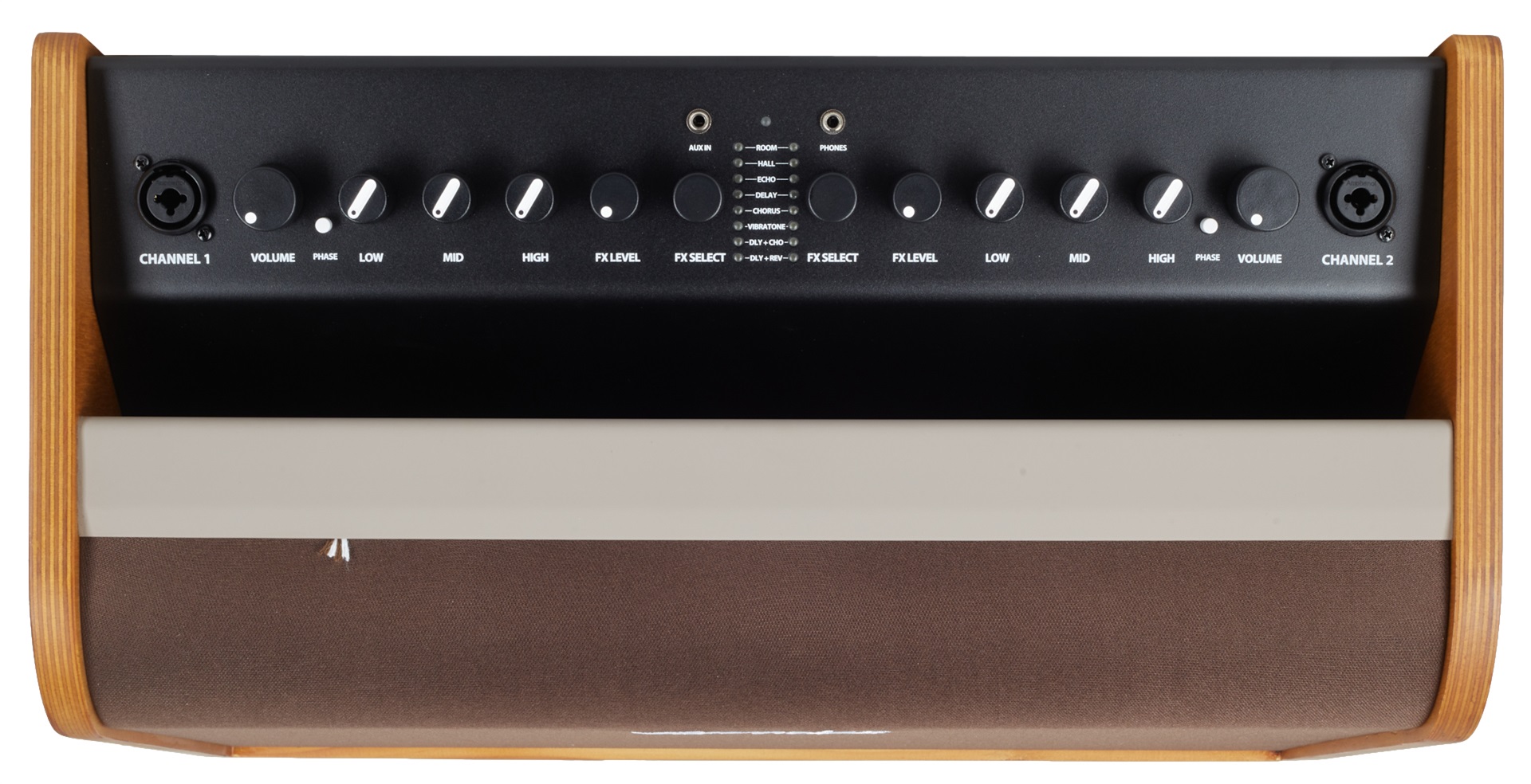 Fender Acoustic 100 (obrázek 4)