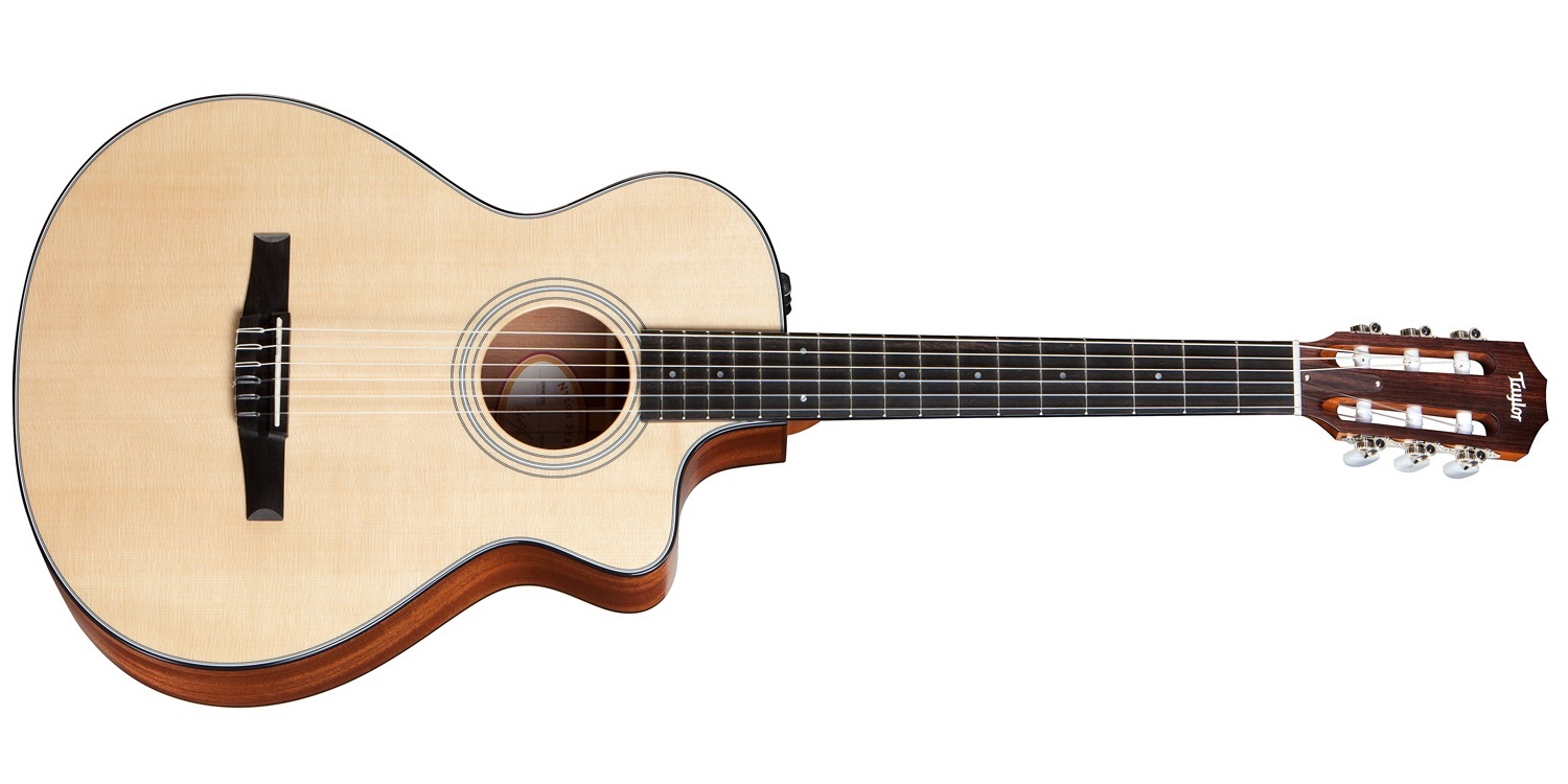 Levně Taylor 312ce-N