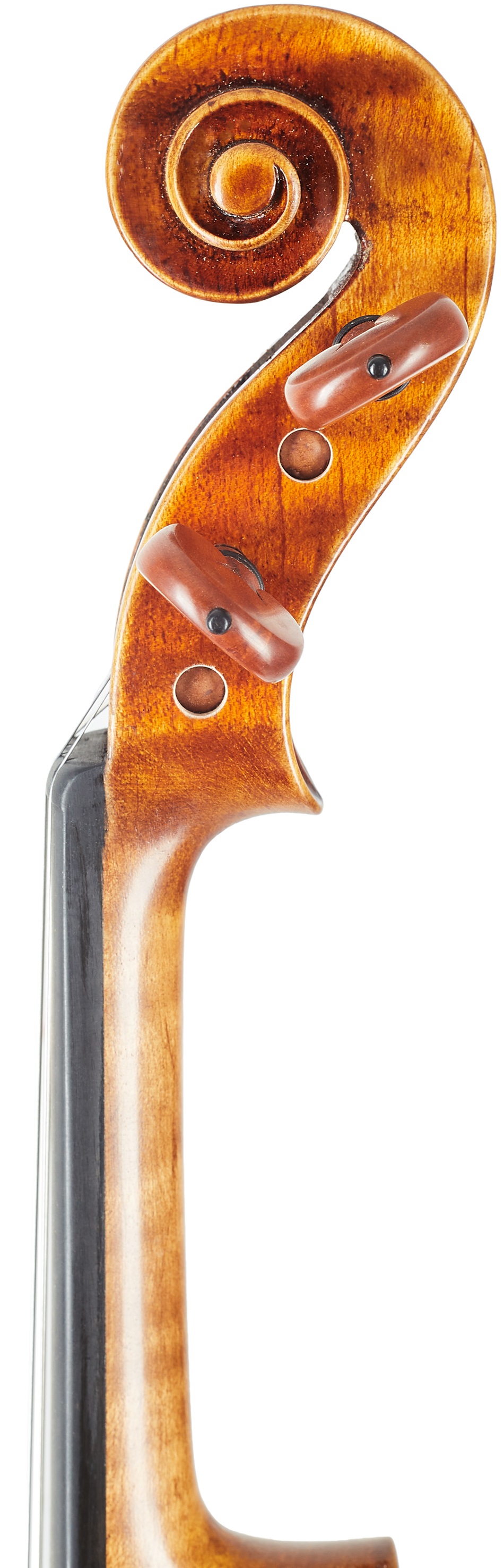 Violin Rácz Violin Performance 4/4 (obrázek 7)