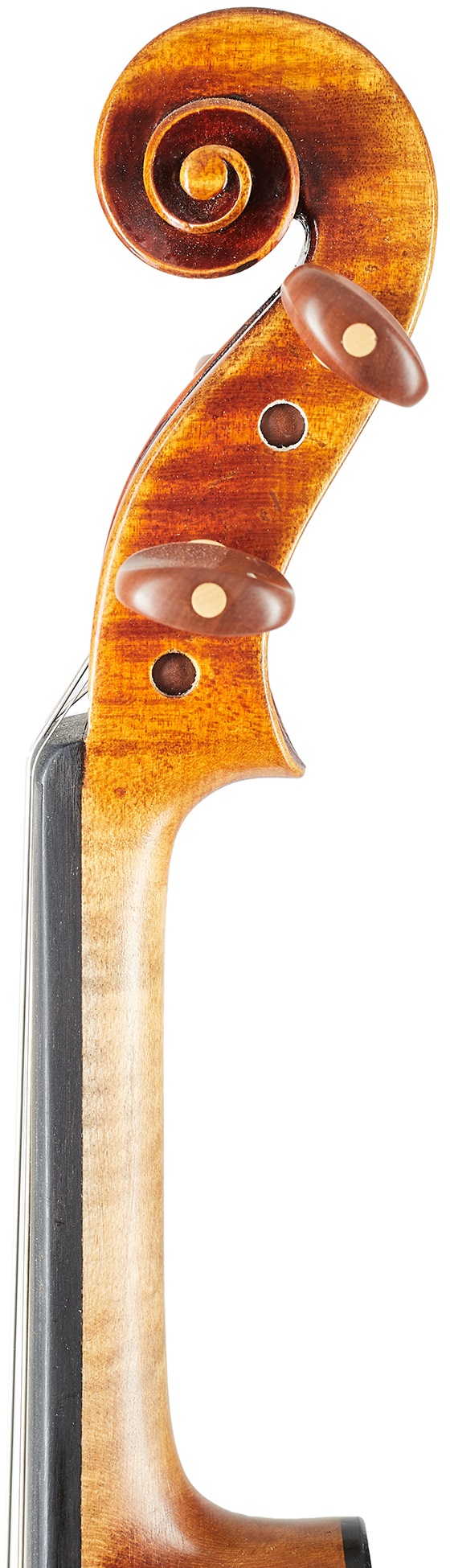 Violin Rácz Violin Bohemia 4/4 (obrázek 7)