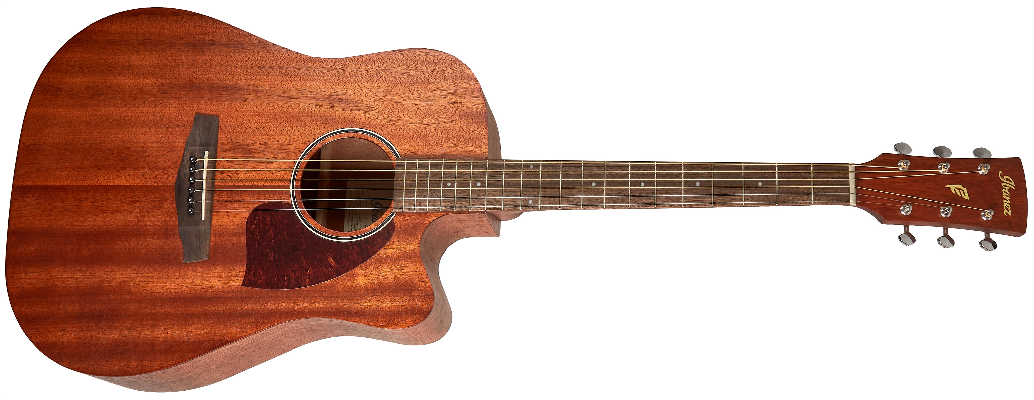 Levně Ibanez PF12MHCE Natural