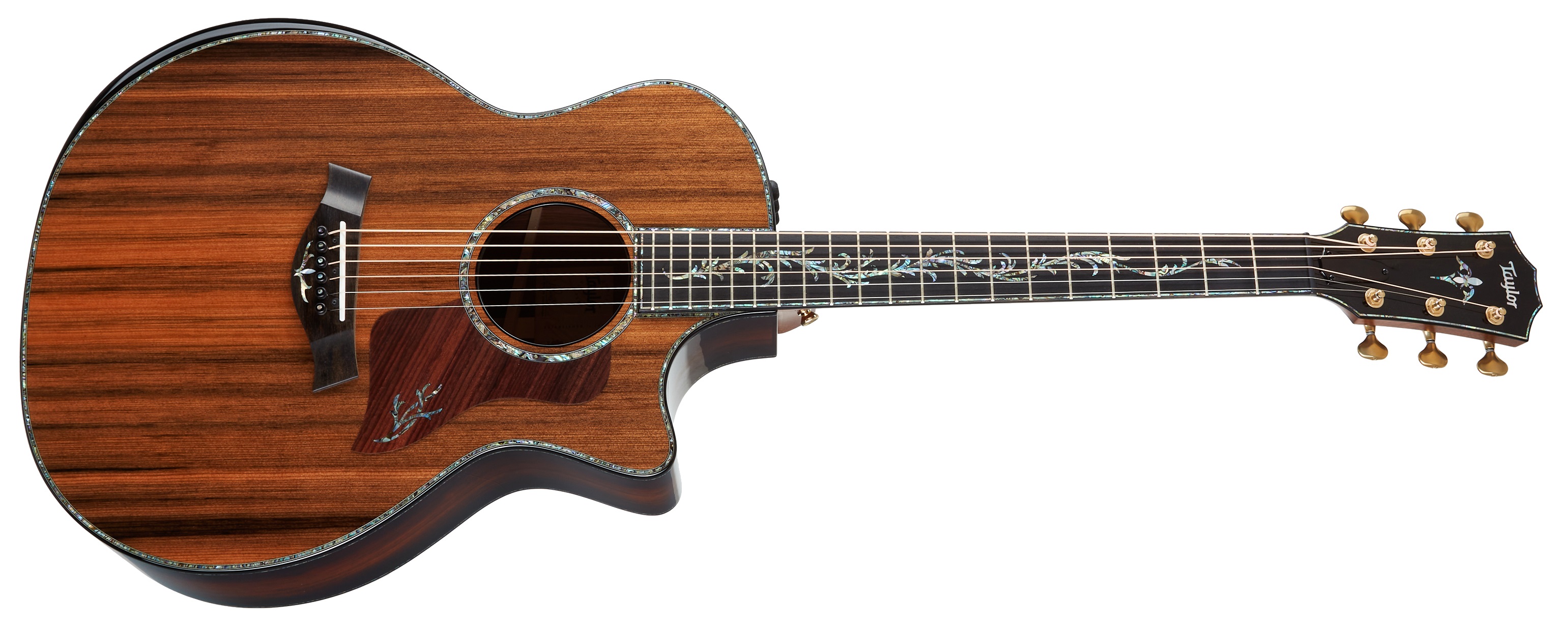 Taylor PS14ce