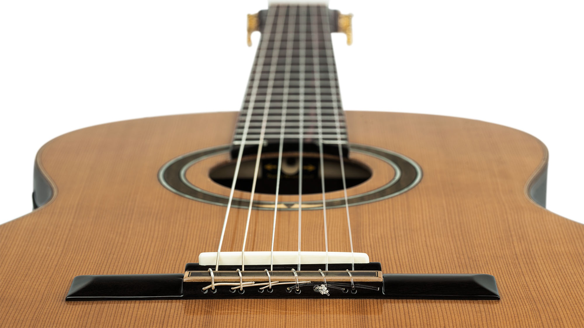 Ortega RE159RWSN (obrázek 6)