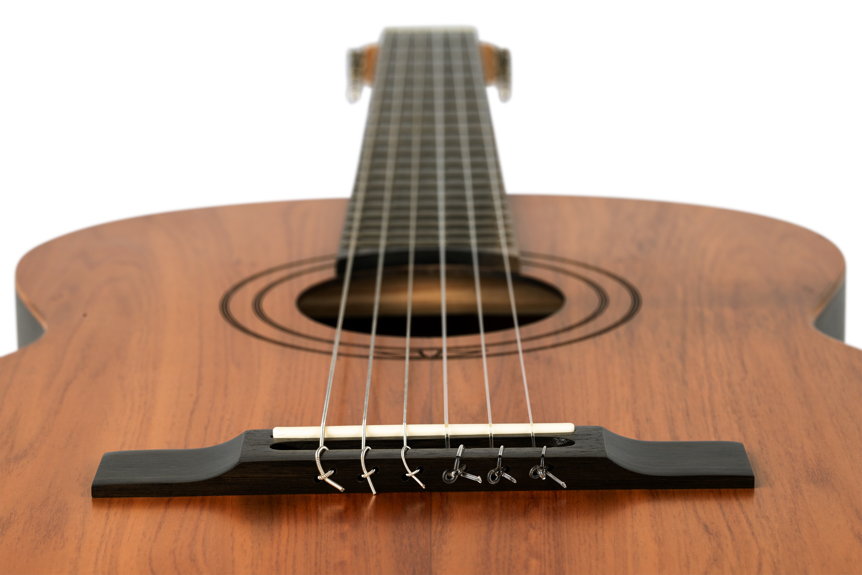 Ortega R16PC (obrázek 6)