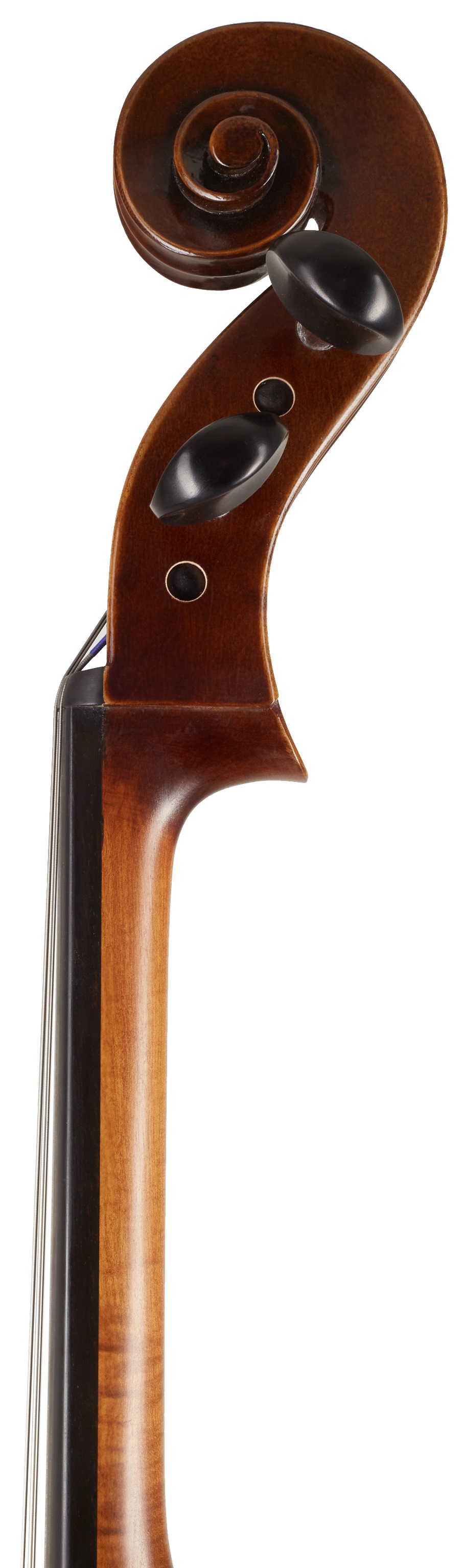 Violin Rácz Cello Student 7/8 (obrázek 6)