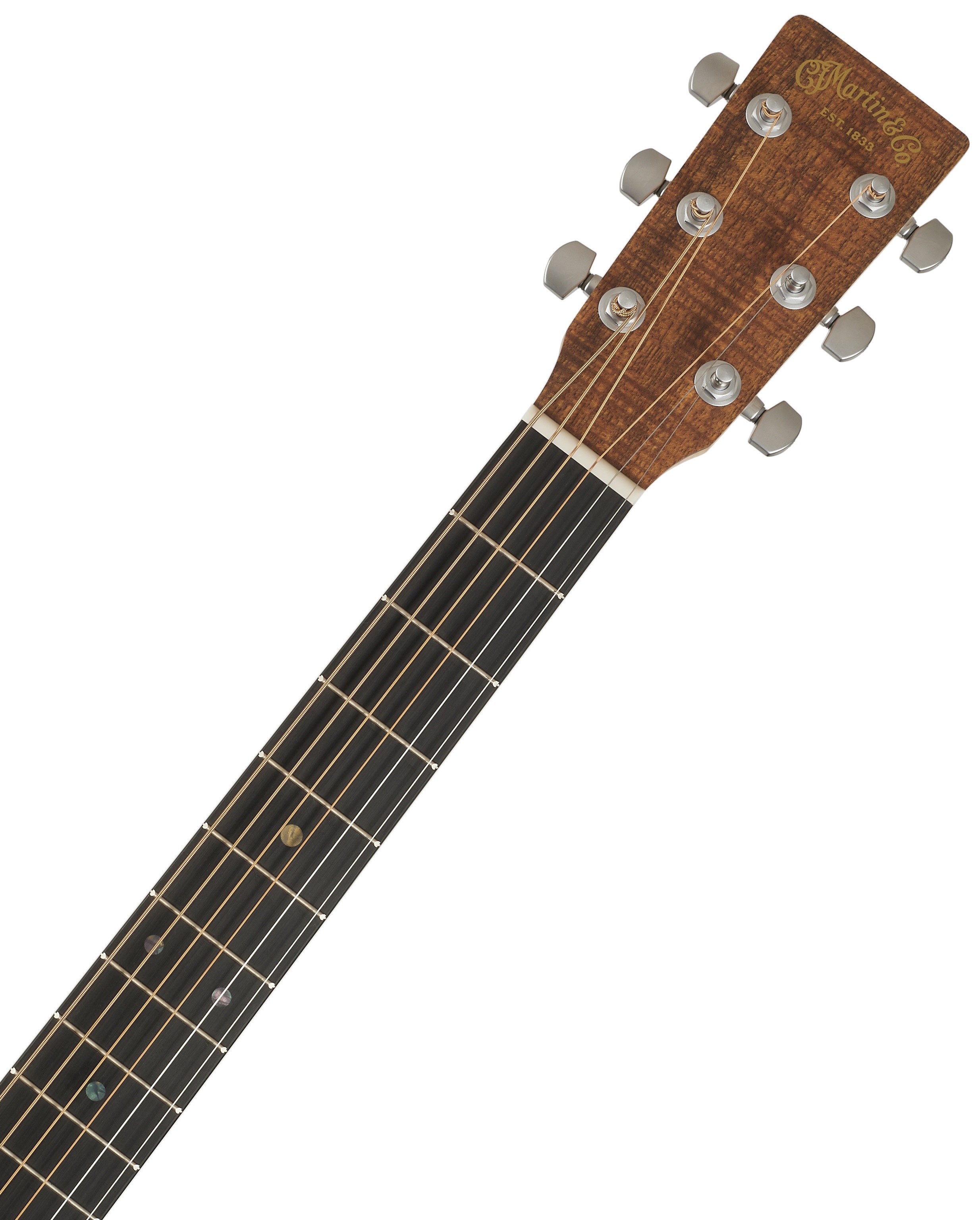 Martin D-X1E KOA (obrázek 6)