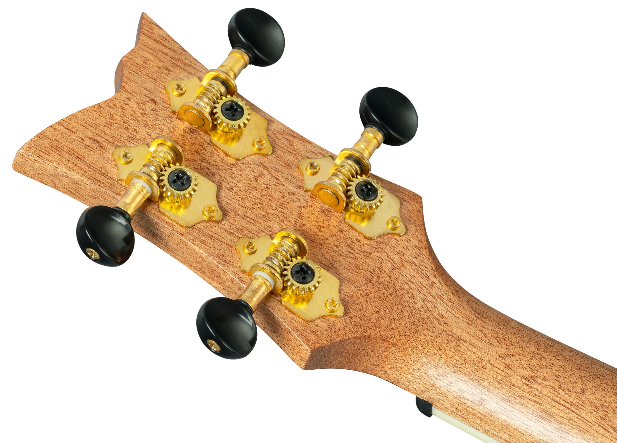 Ortega RUGH-SRT (obrázek 5)