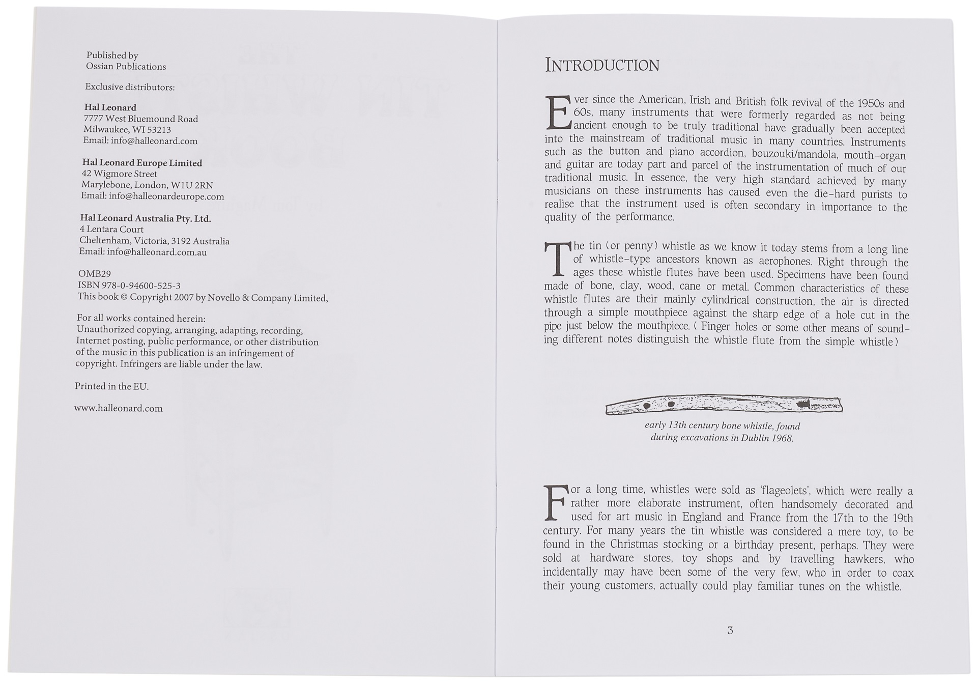 MS The Tin Whistle Book (obrázek 3)