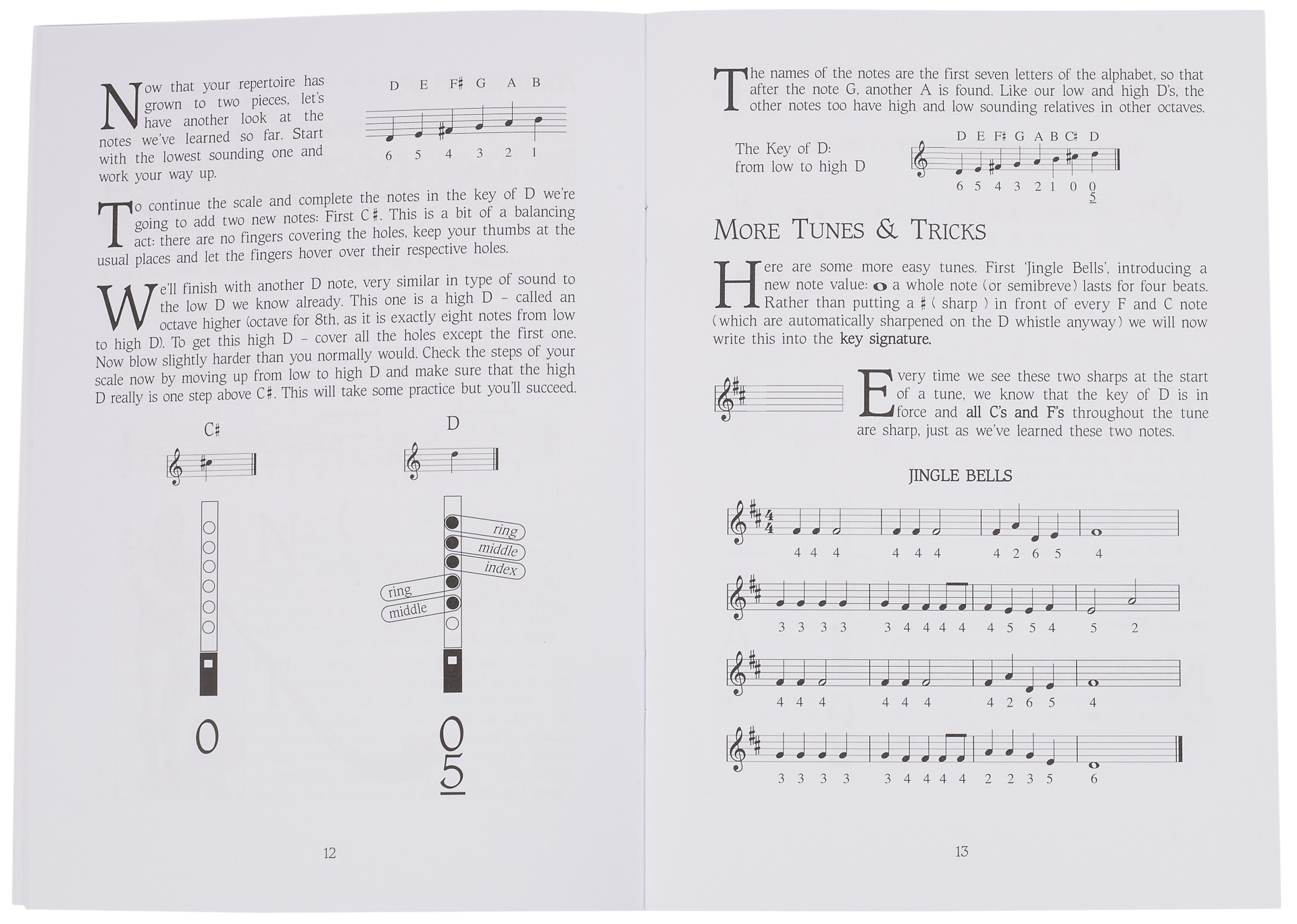 MS The Tin Whistle Book (obrázek 4)