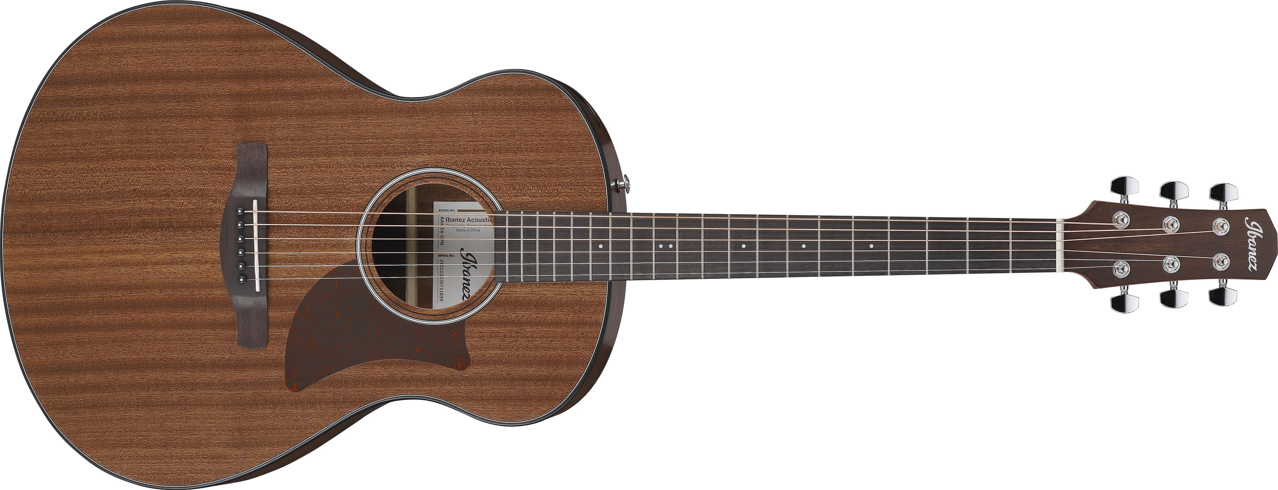 Ibanez AAM54 Natural
