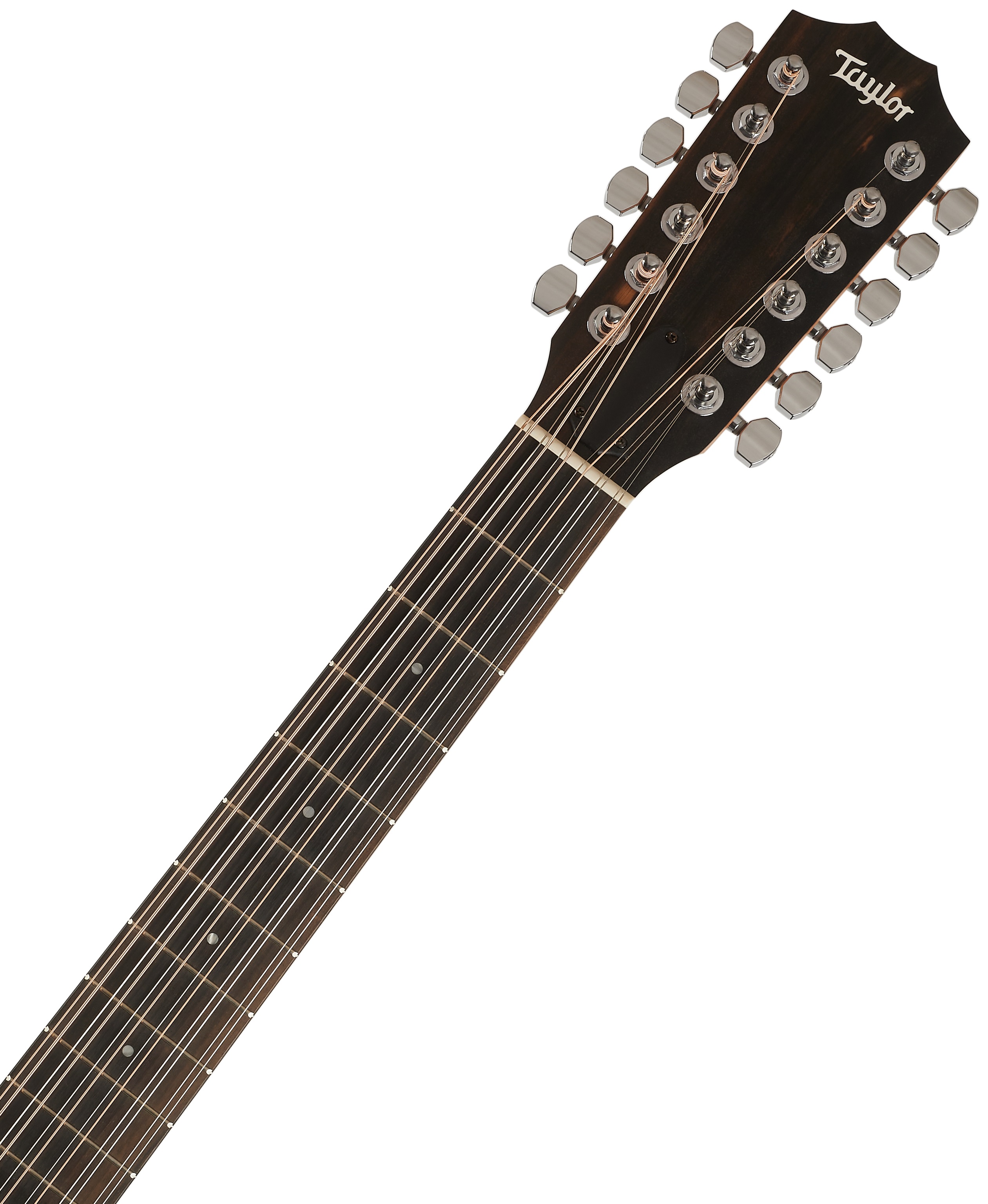 Taylor 150ce (obrázek 5)