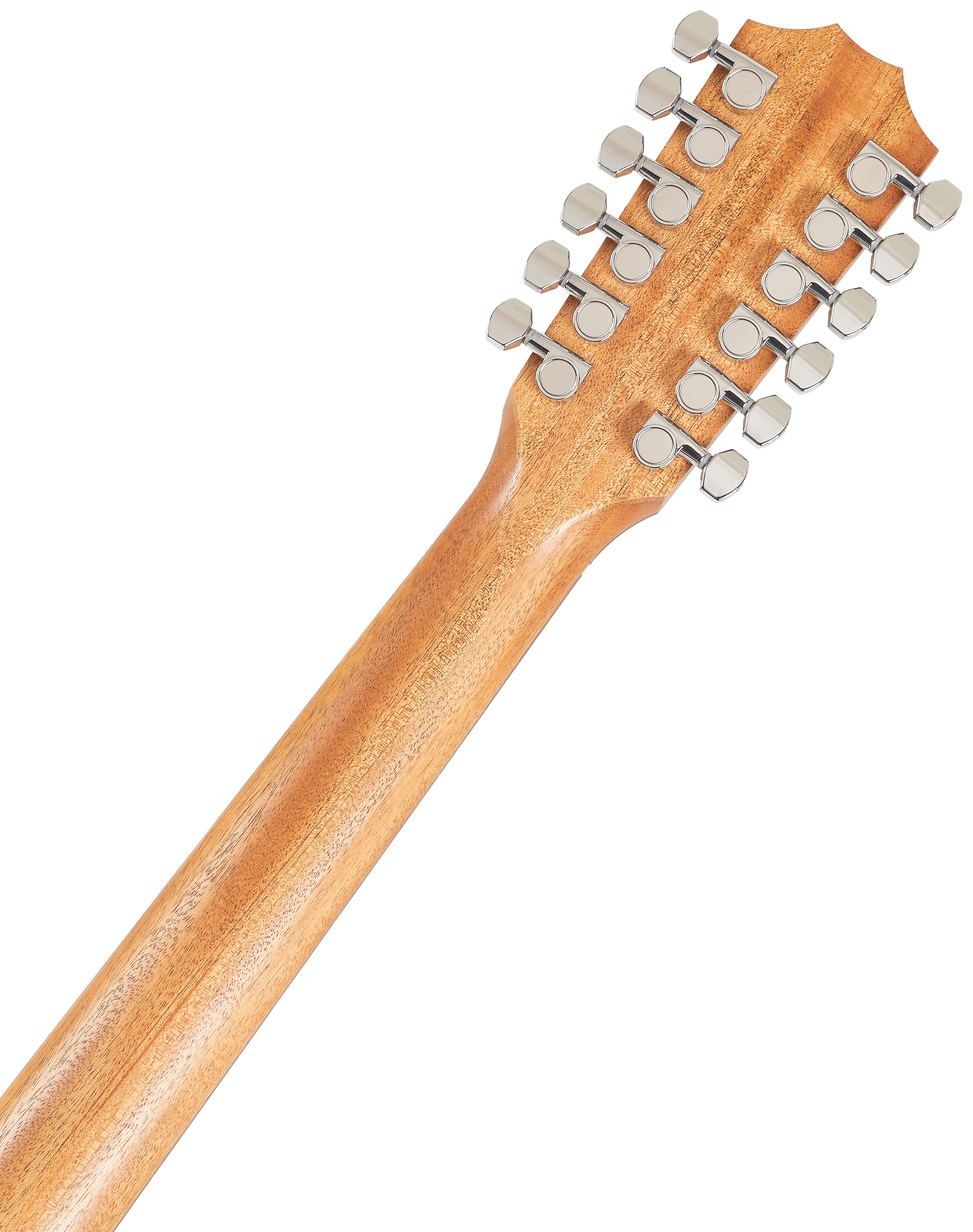 Taylor 150ce (obrázek 6)