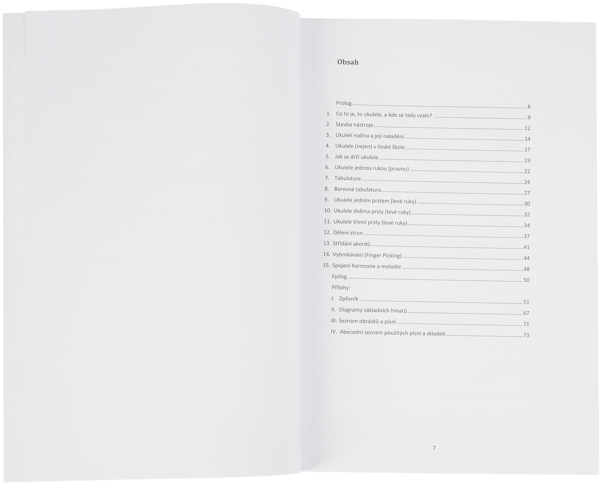 KN Ukulele v české škole (obrázek 3)