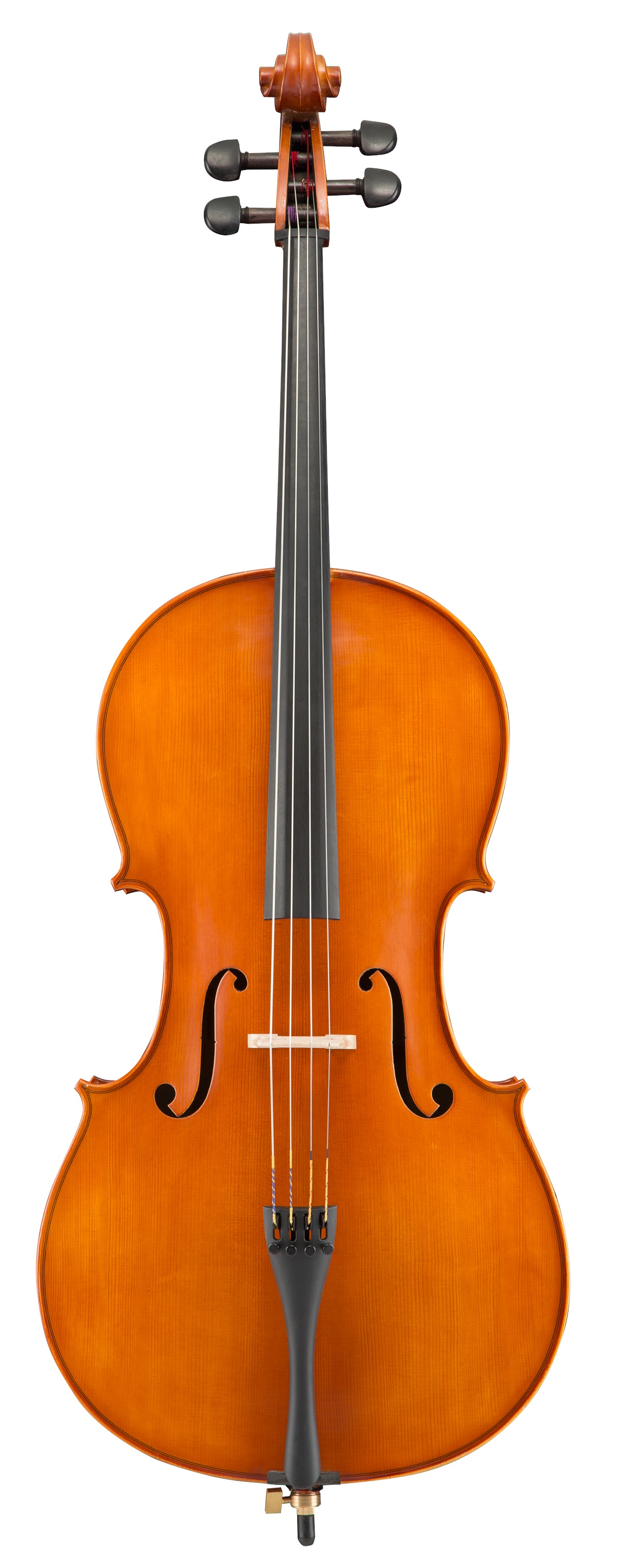 Levně Eastman Andreas Eastman Cello 4/4 (VC250SBC)