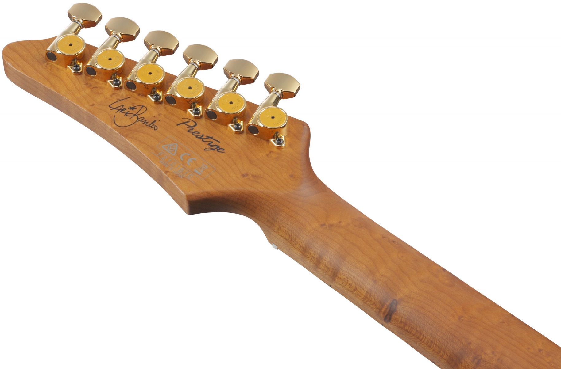 Ibanez Lari Basilio LB1 Violet (obrázek 6)