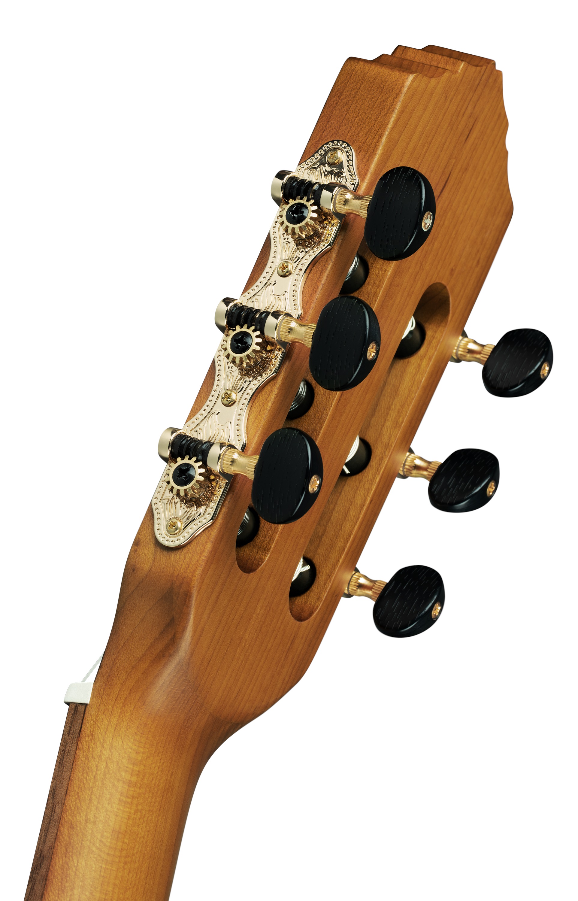 Ortega R23RO (obrázek 5)