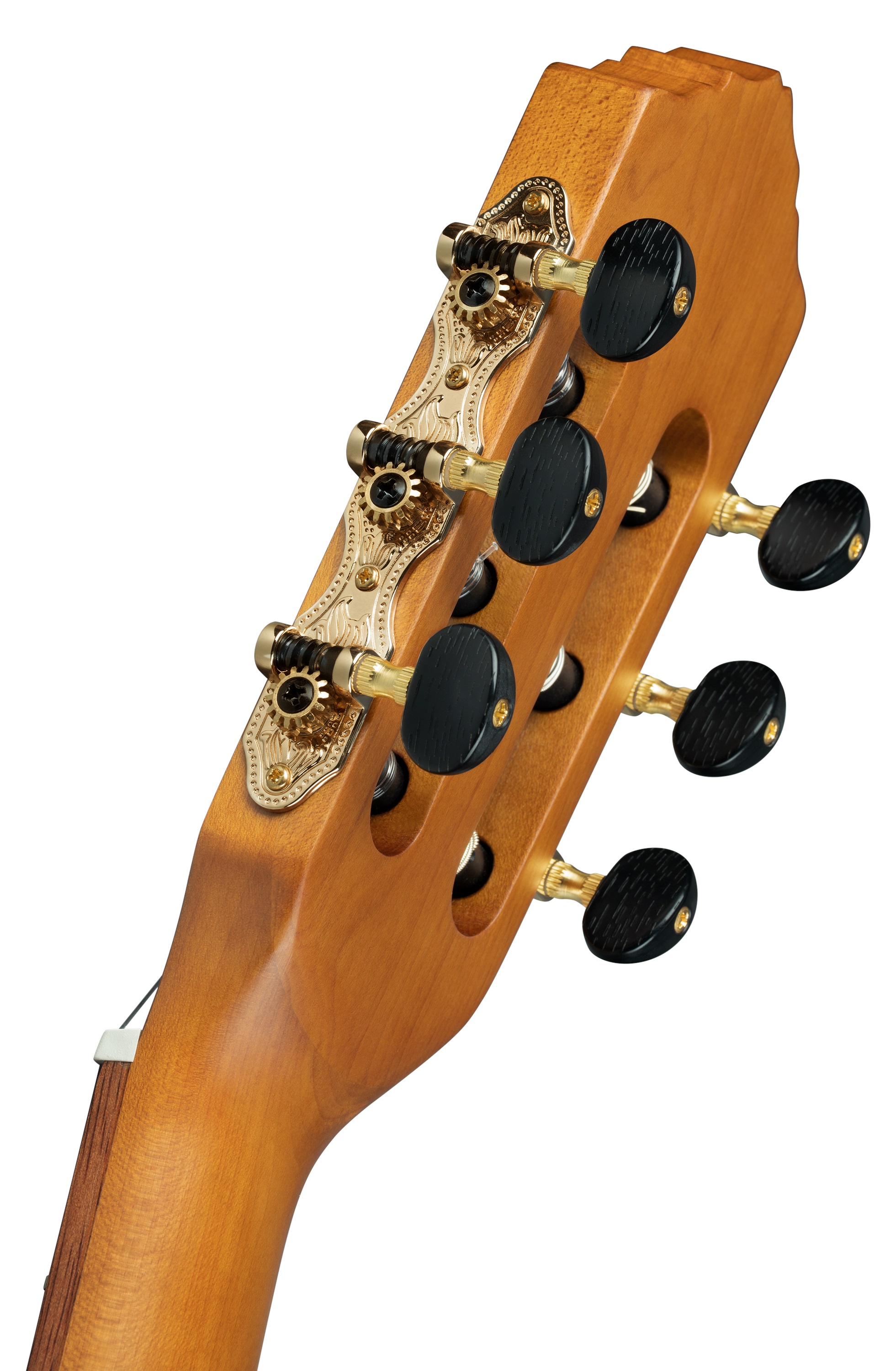 Ortega RCE23RO (obrázek 5)