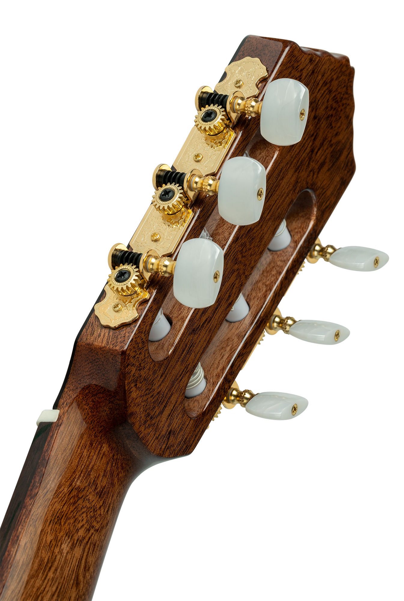 Ortega RE158RWSN (obrázek 5)