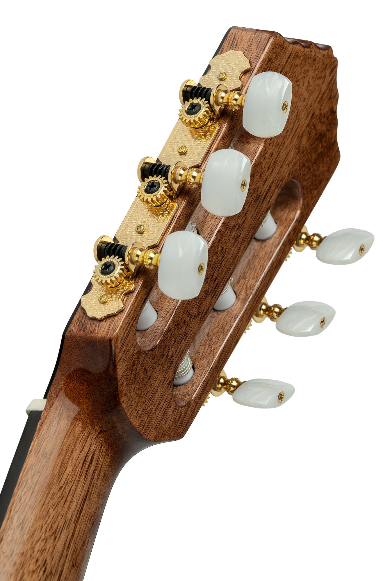 Ortega RE159RWSN (obrázek 5)