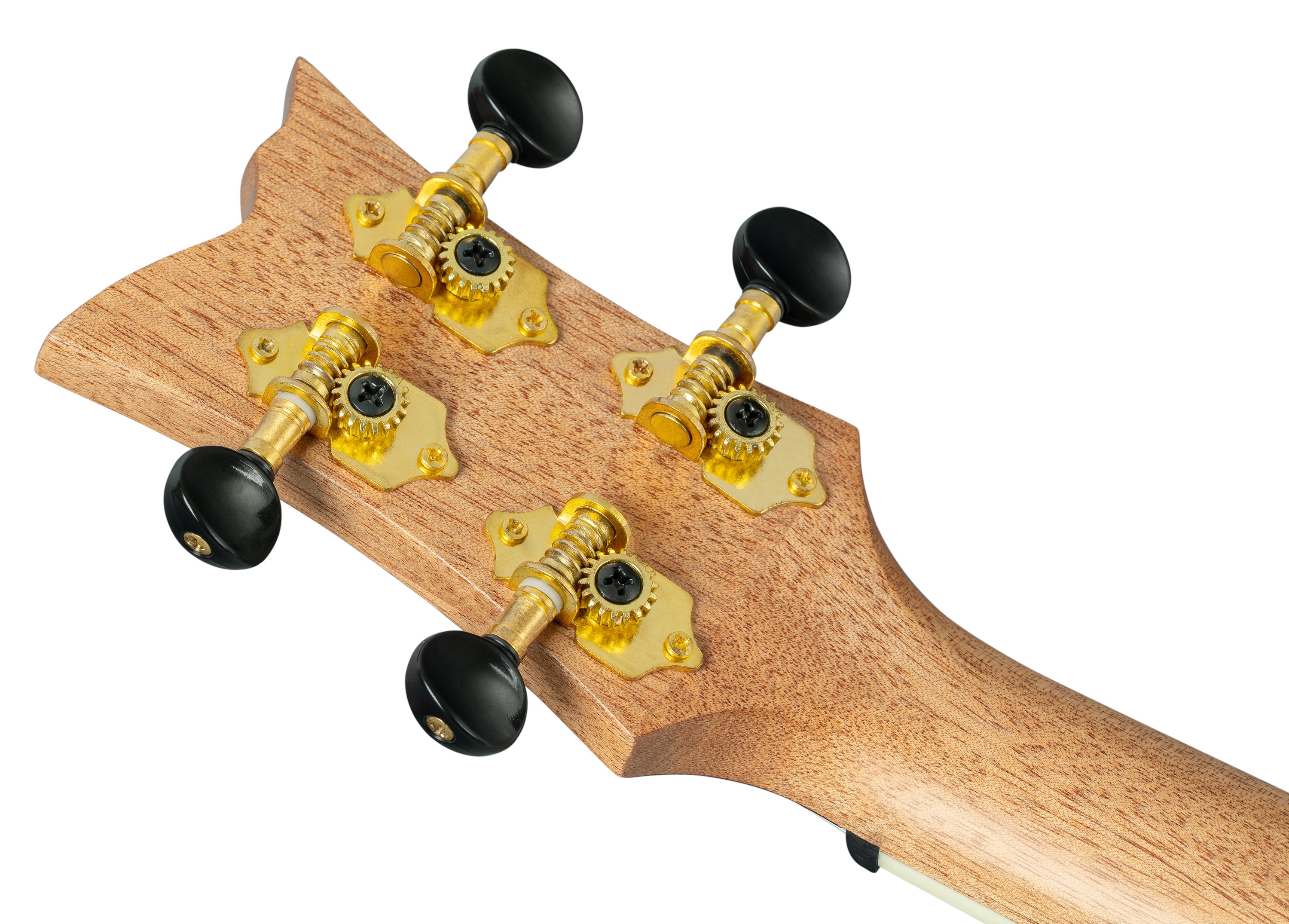 Ortega RUGH-PLT (obrázek 5)