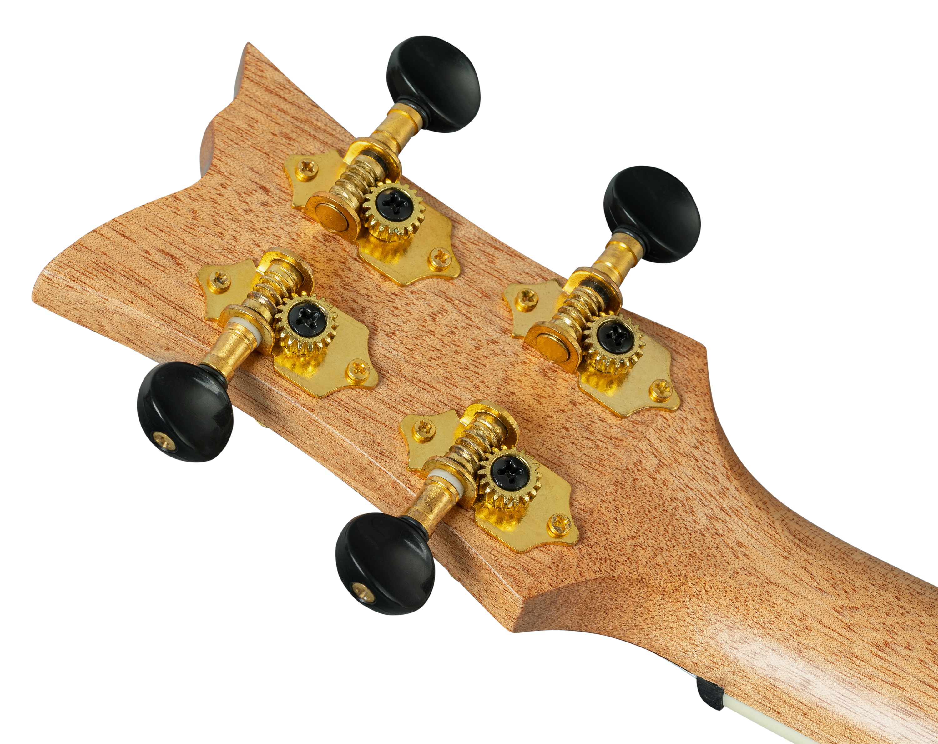 Ortega RUGH-BKT (obrázek 4)