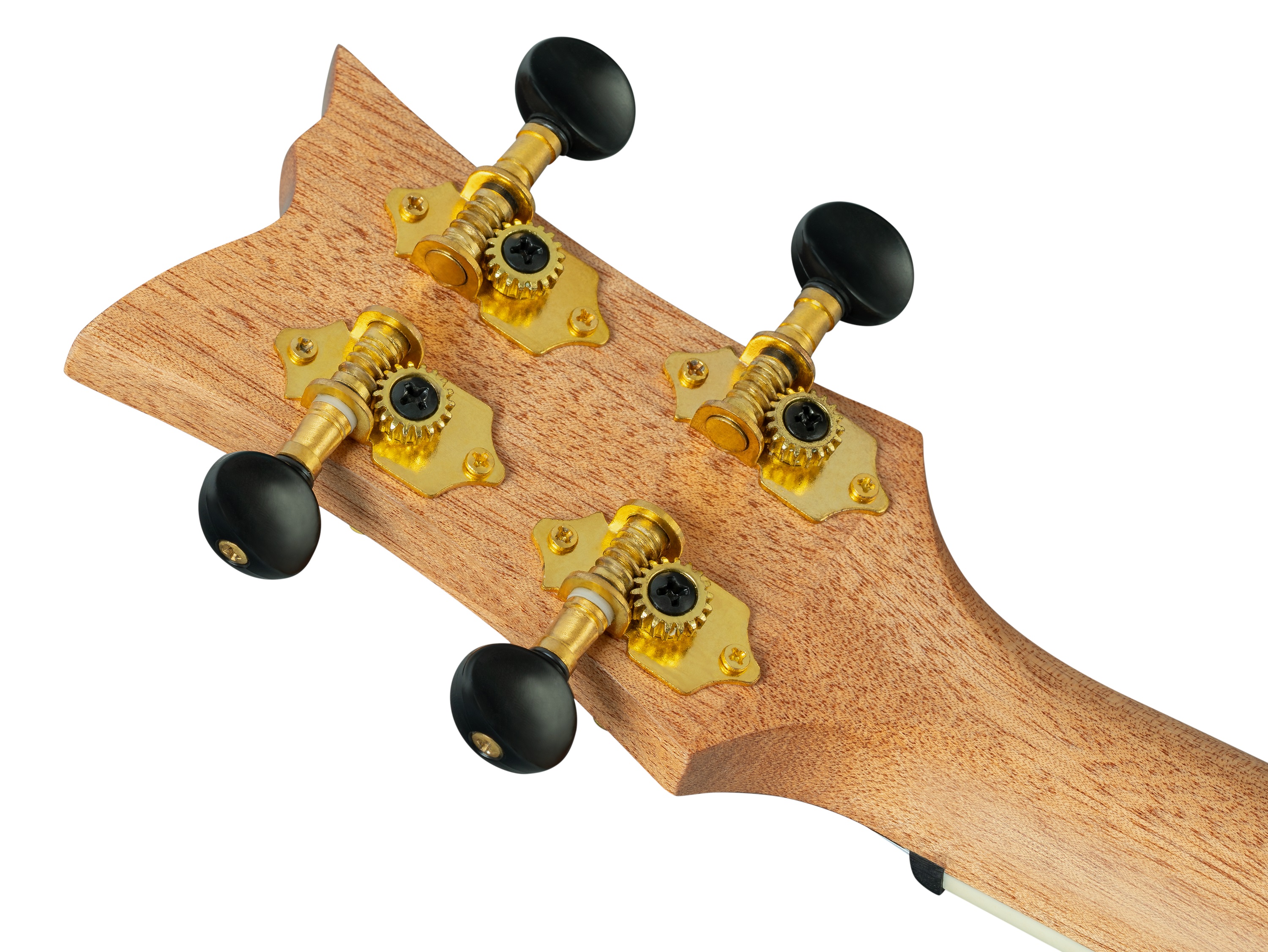 Ortega RUGH-OCT (obrázek 5)