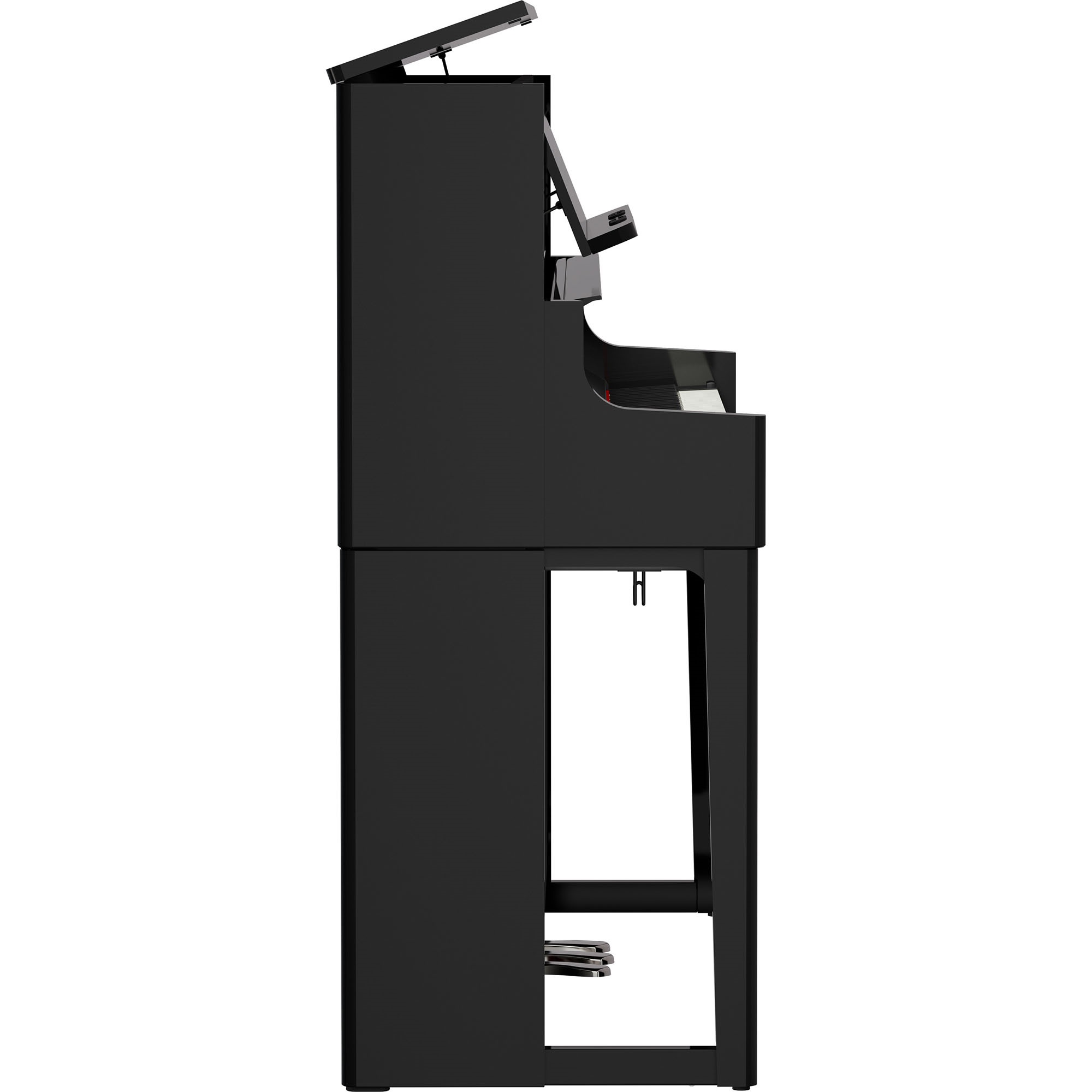 Roland LX-9 PE (obrázek 19)