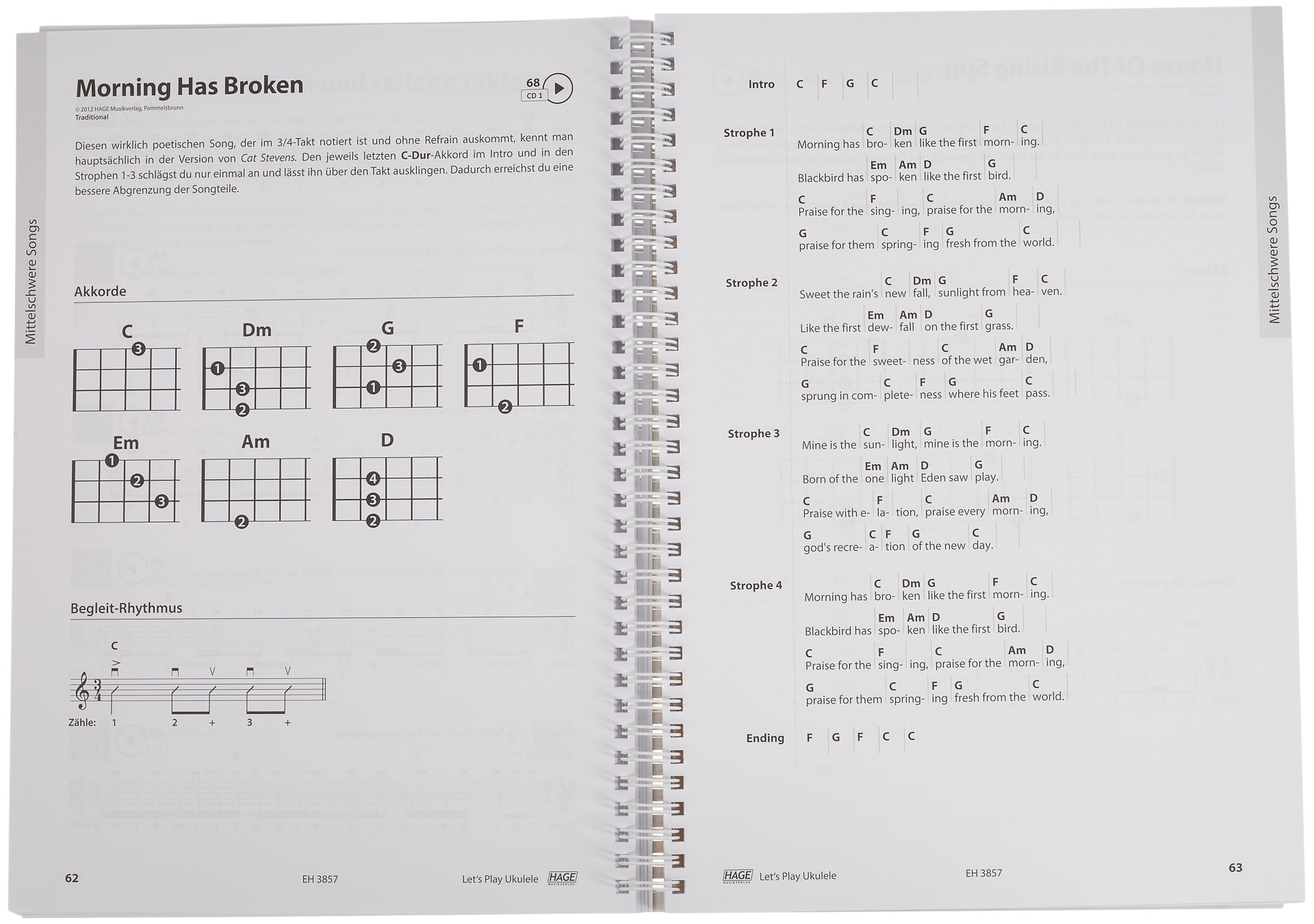 MS Let's Play Ukulele (obrázek 5)