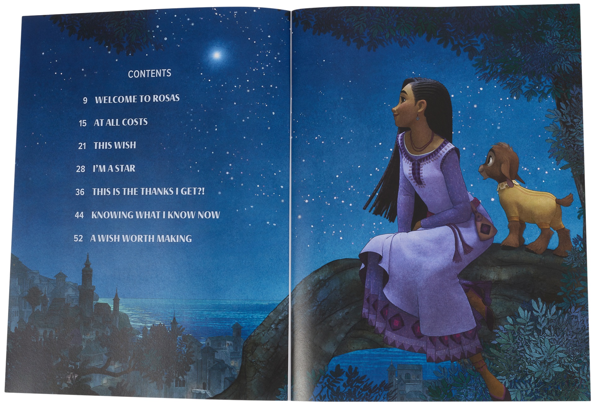 MS WISH (obrázek 3)