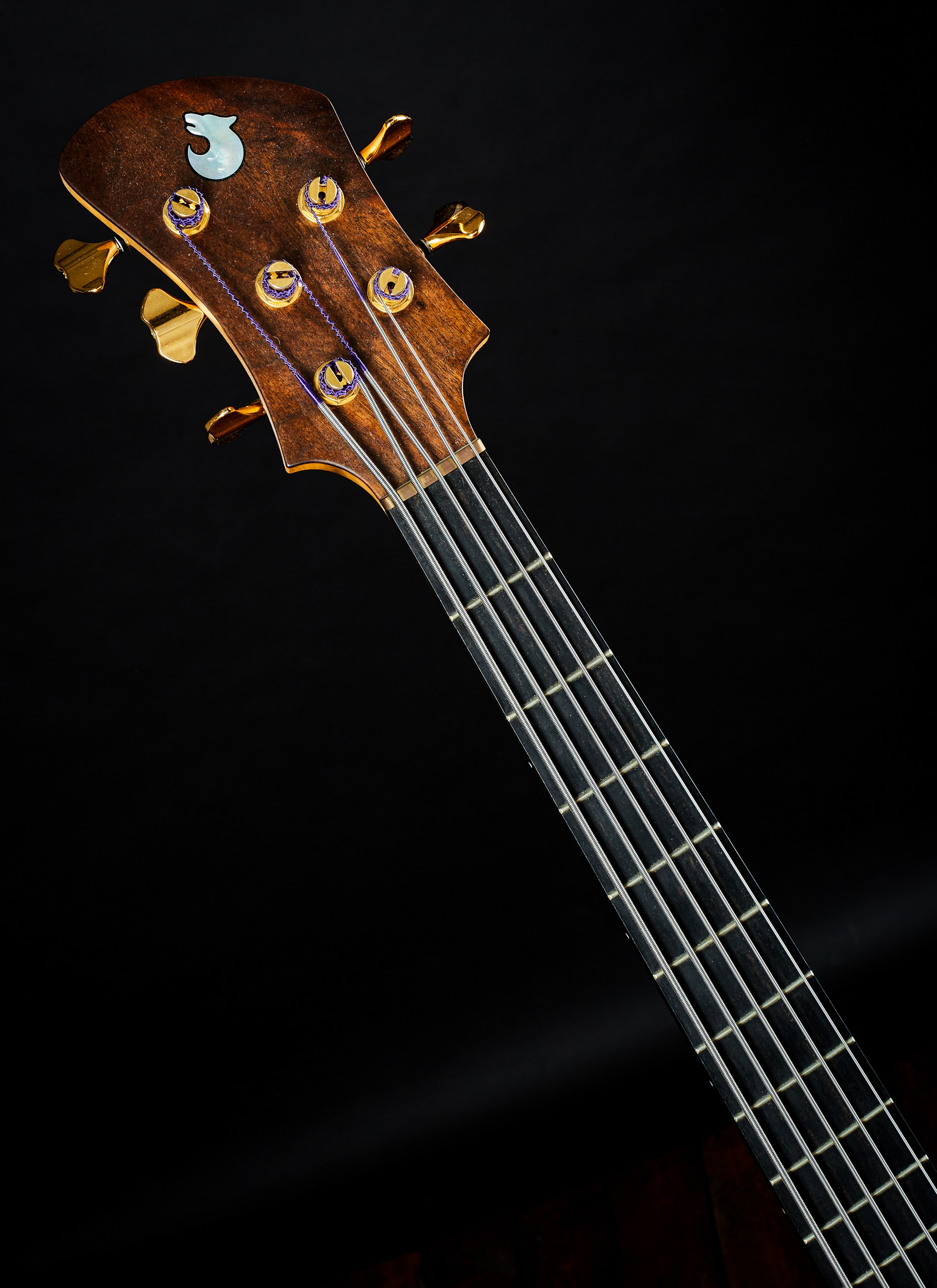 Vlček Basses 2019 BSR Clone 5 Scale-Up Body (obrázek 5)