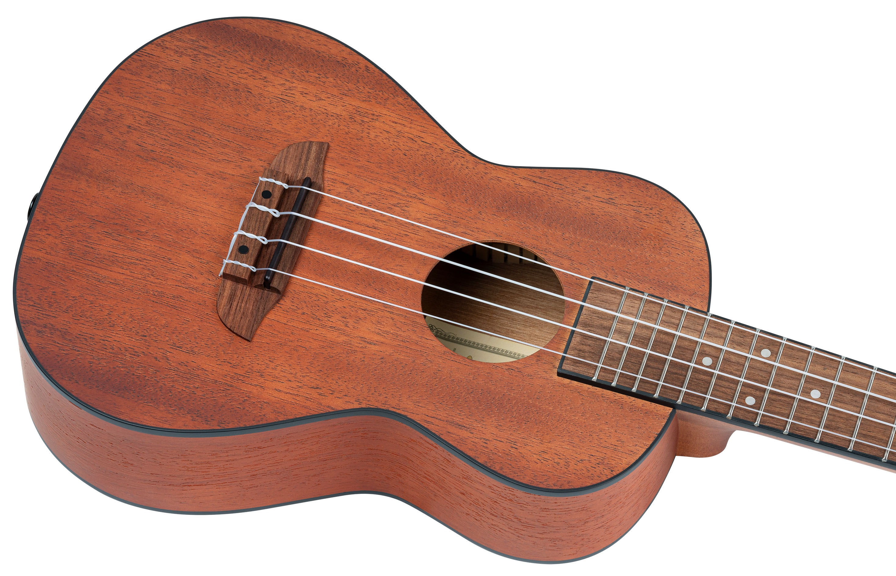 Ortega RU4MM (obrázek 6)