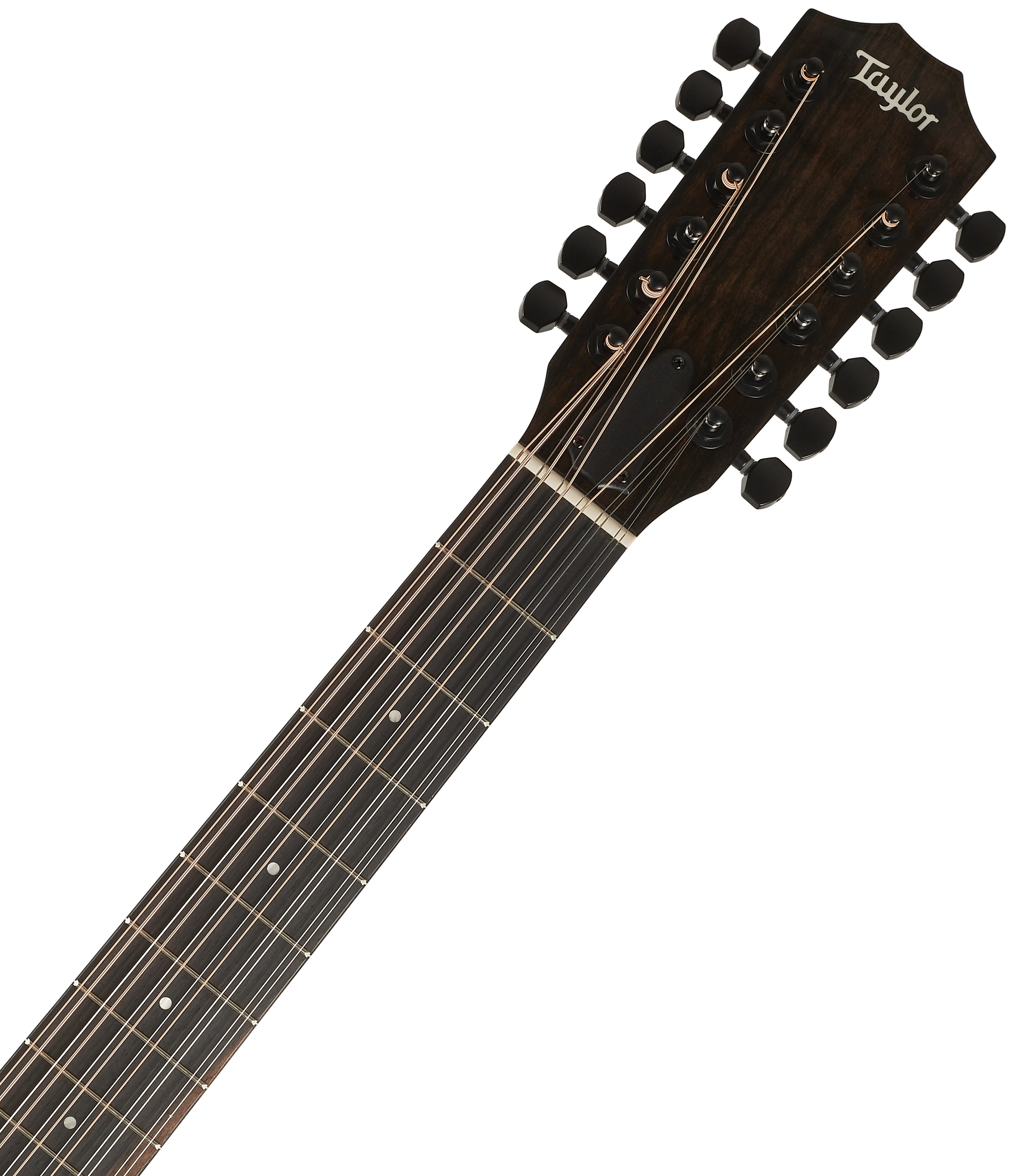 Taylor 250ce-BLK Plus (obrázek 5)