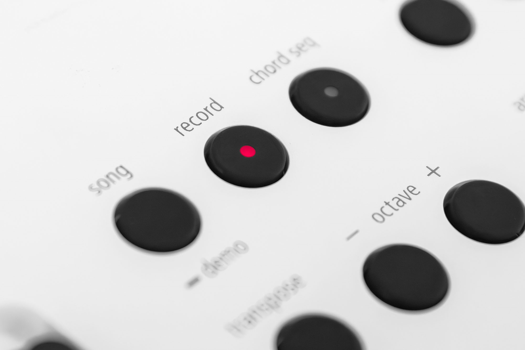 Roland GO:KEYS5-WH (obrázek 4)