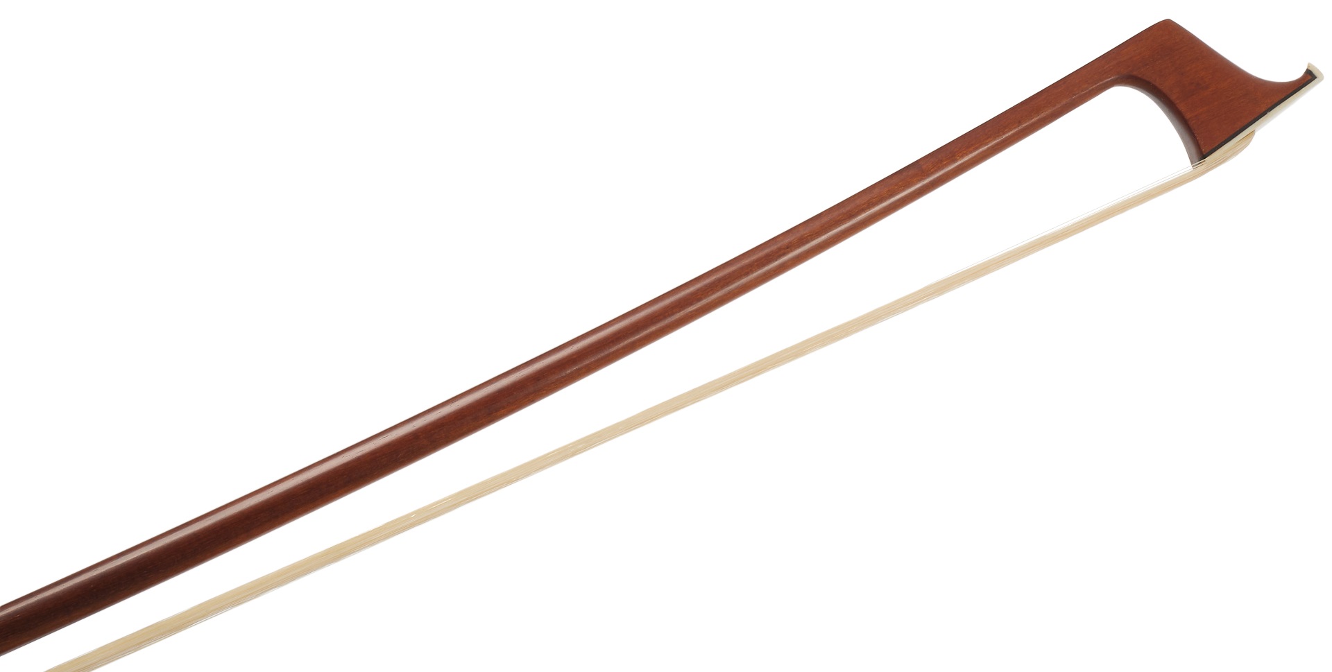 Eastman Pernambuco Cello Bow 4/4 (obrázek 3)