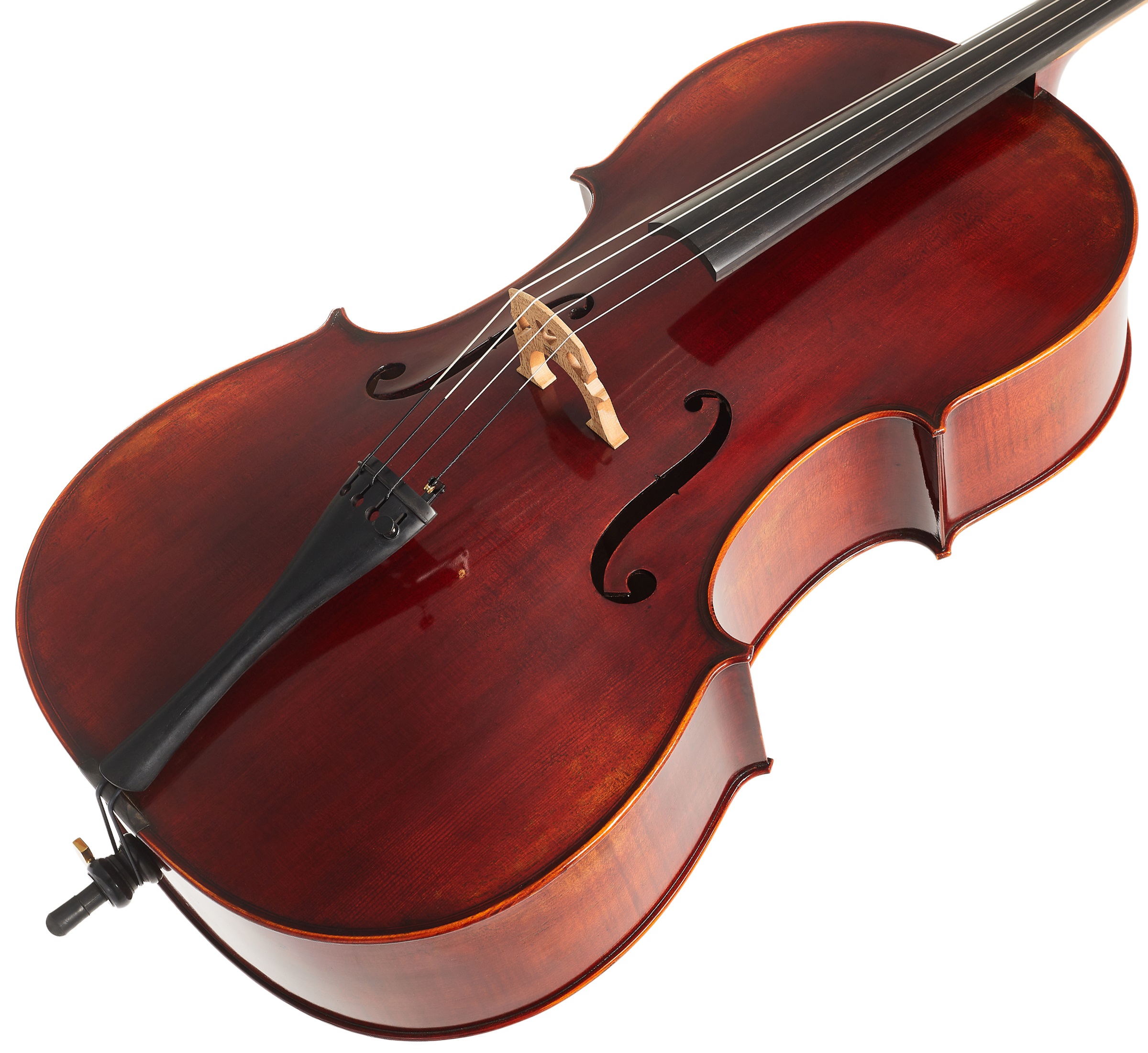 Eastman Ivan Dunov Cello 4/4 (VC401 ) (obrázek 3)
