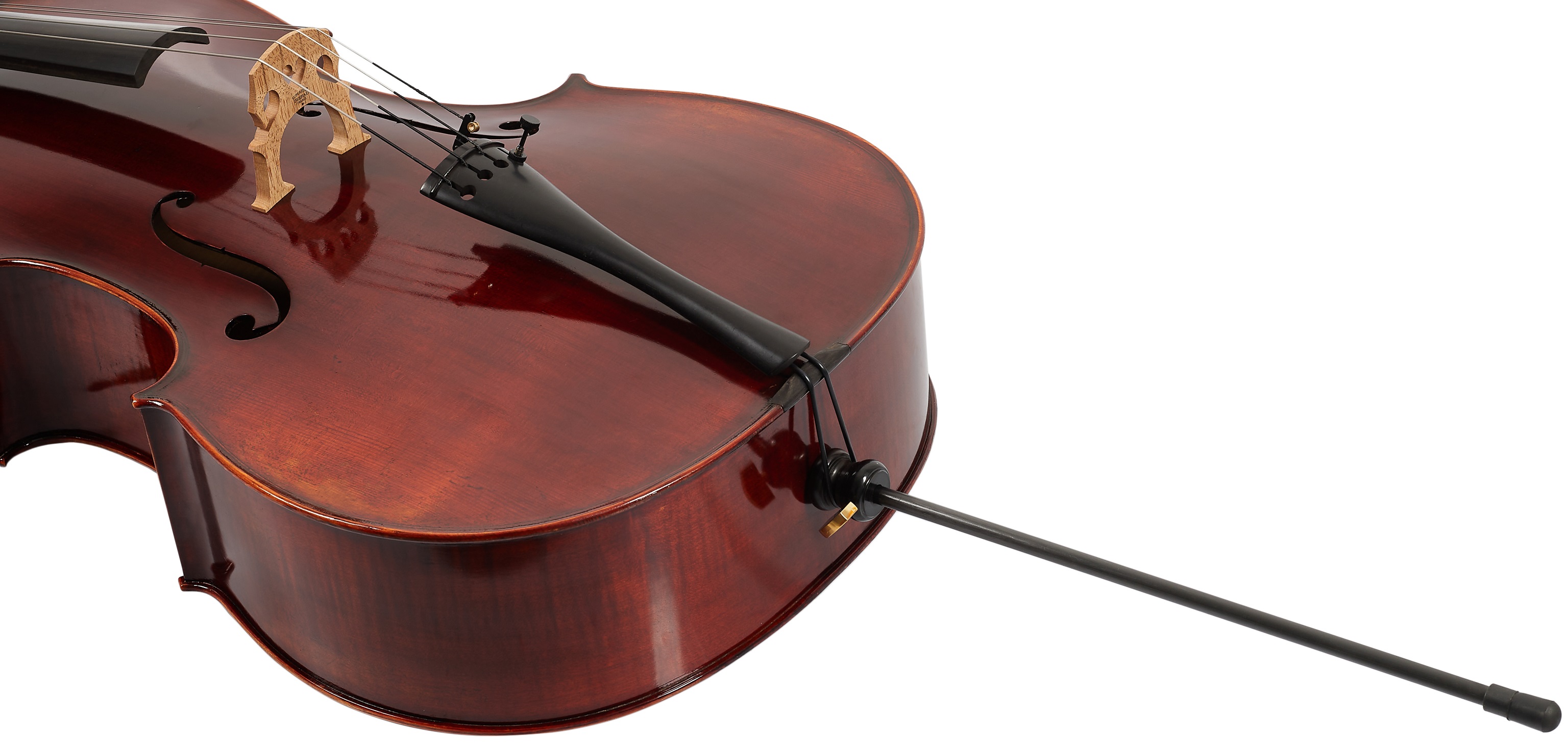 Eastman Ivan Dunov Cello 4/4 (VC401 ) (obrázek 4)