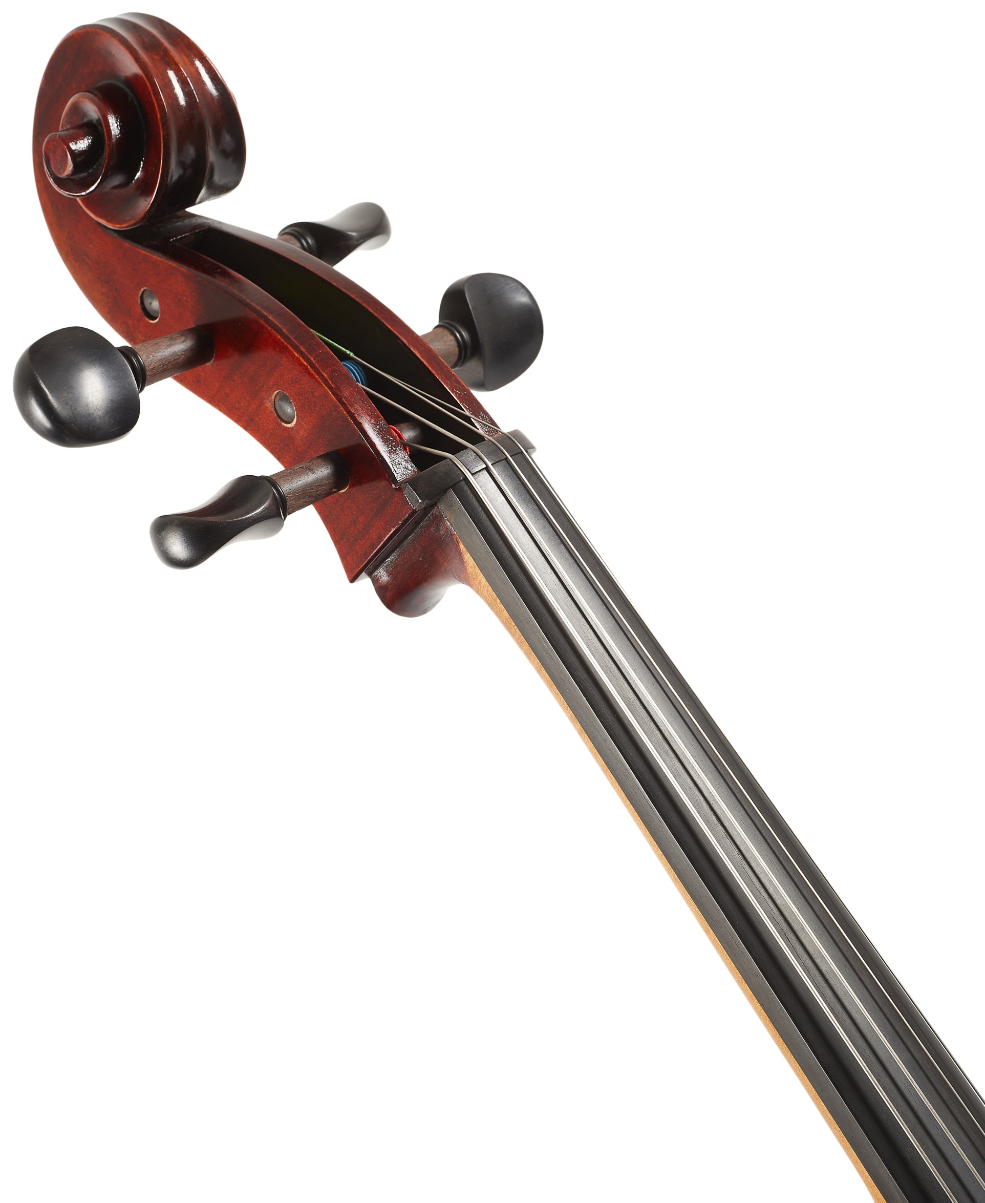 Eastman Ivan Dunov Cello 4/4 (VC401 ) (obrázek 5)